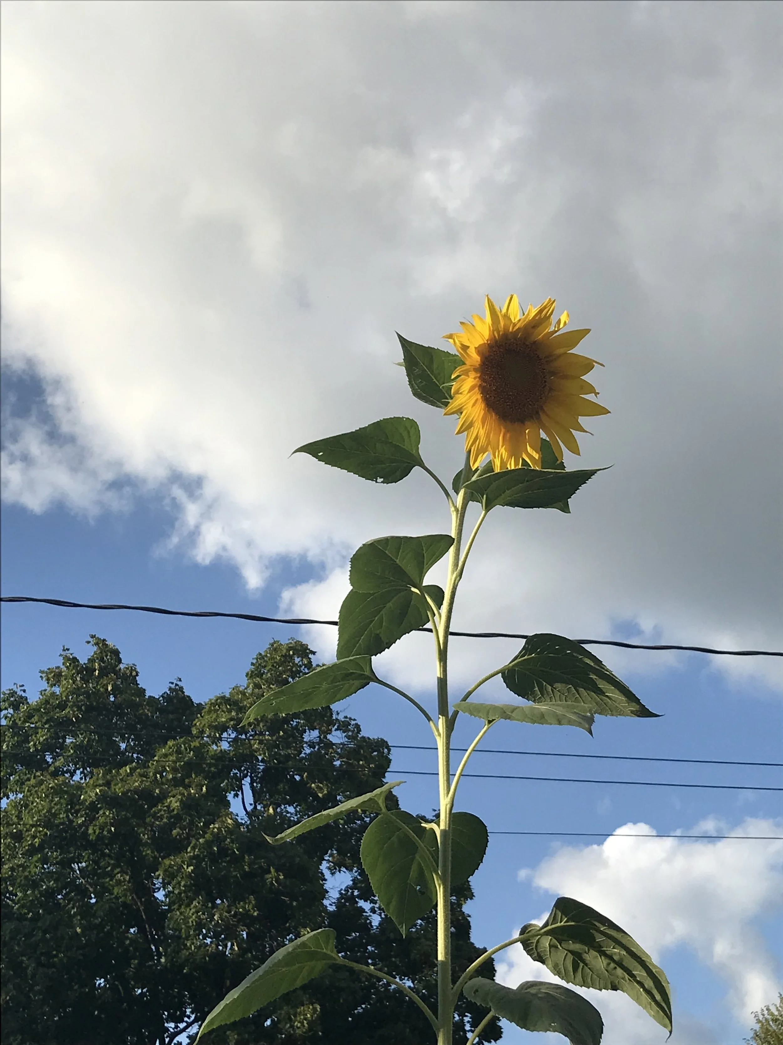 done is better than perfect