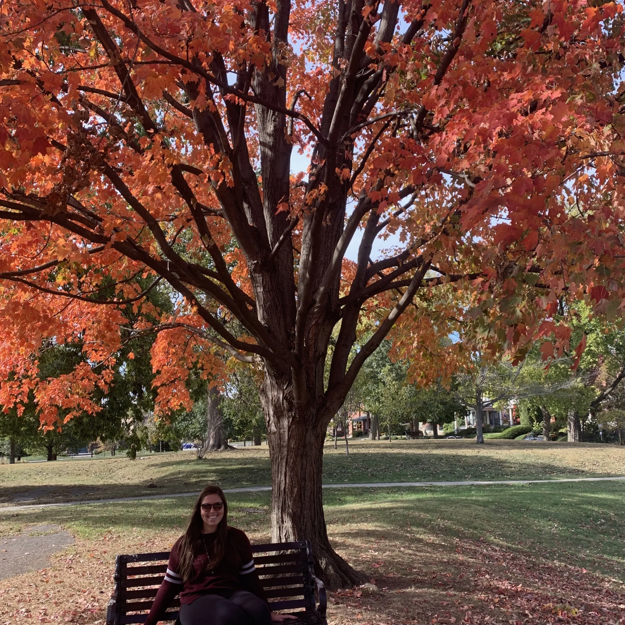 nature’s gentle reminders