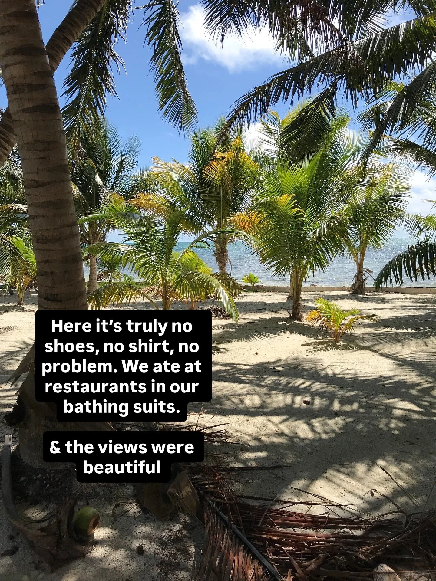gorgeous palm trees in Caye Caulker Belize