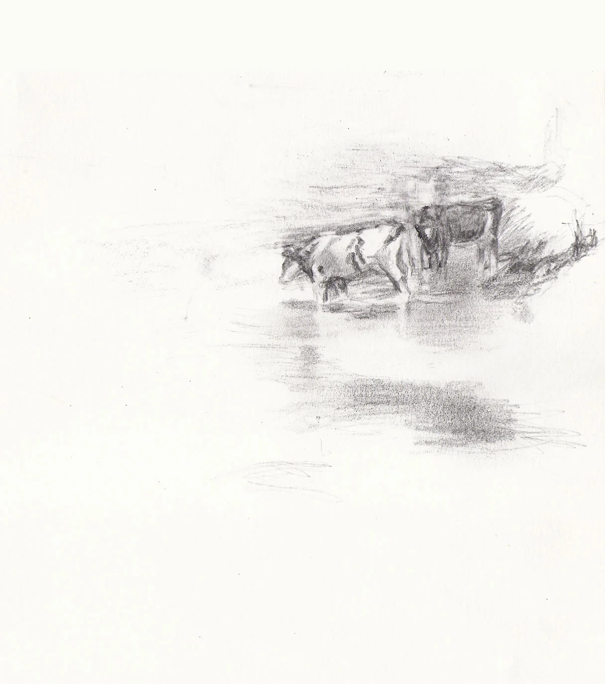 Cow Study 1, 7" x 6"