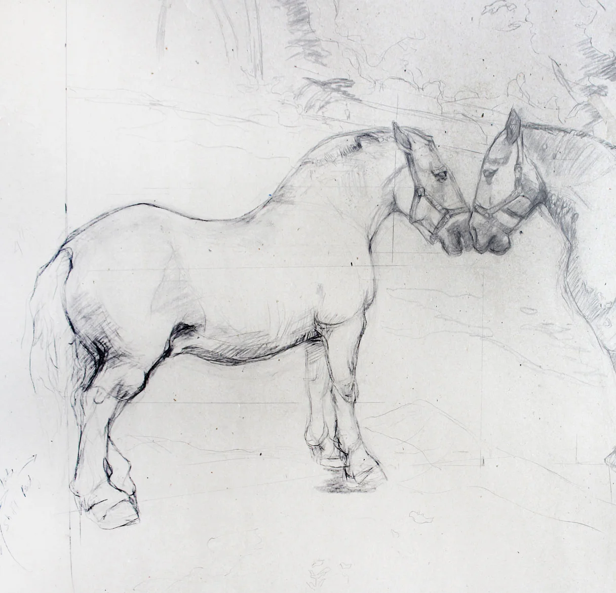 Drawings
