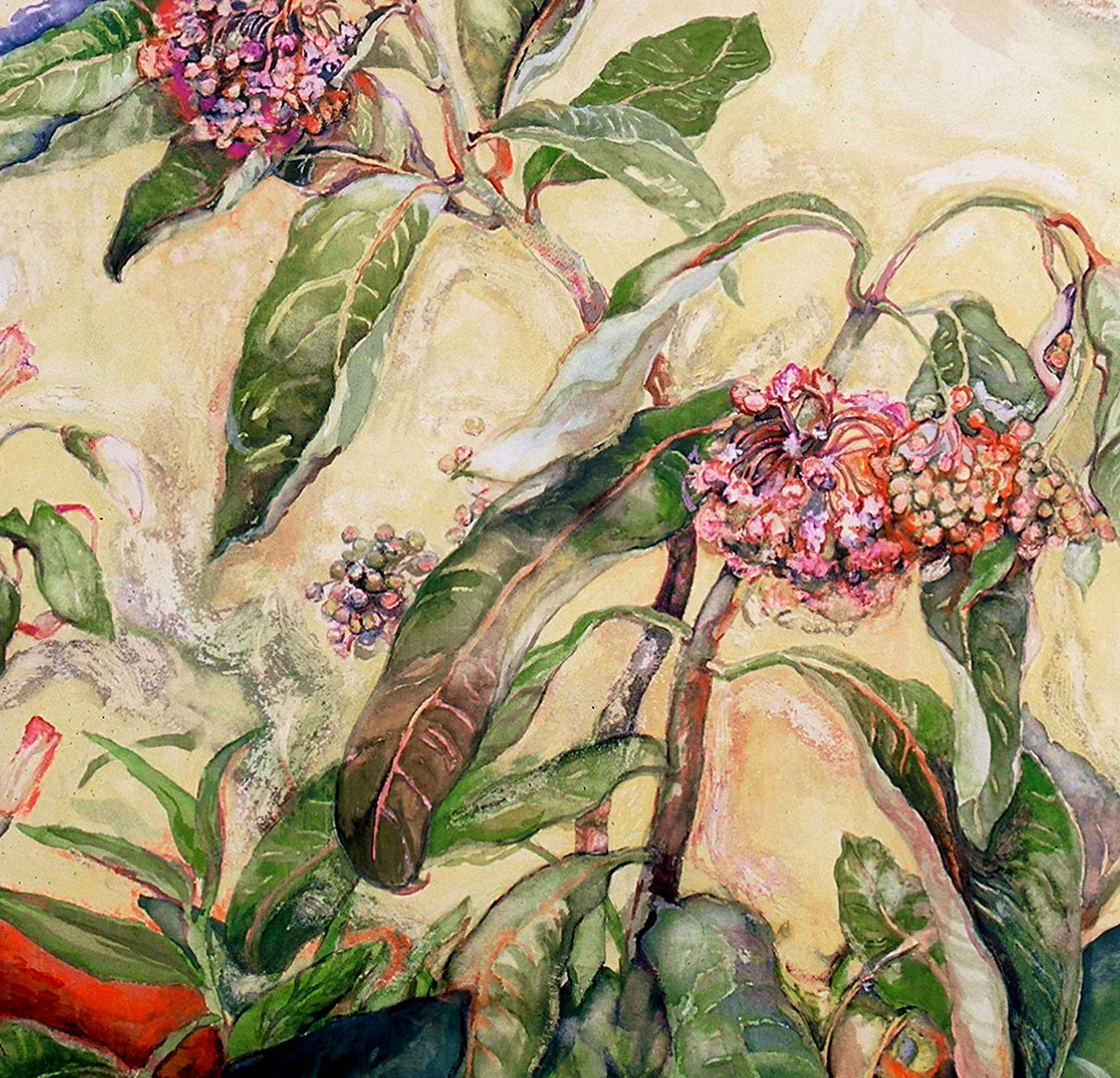 Watercolors