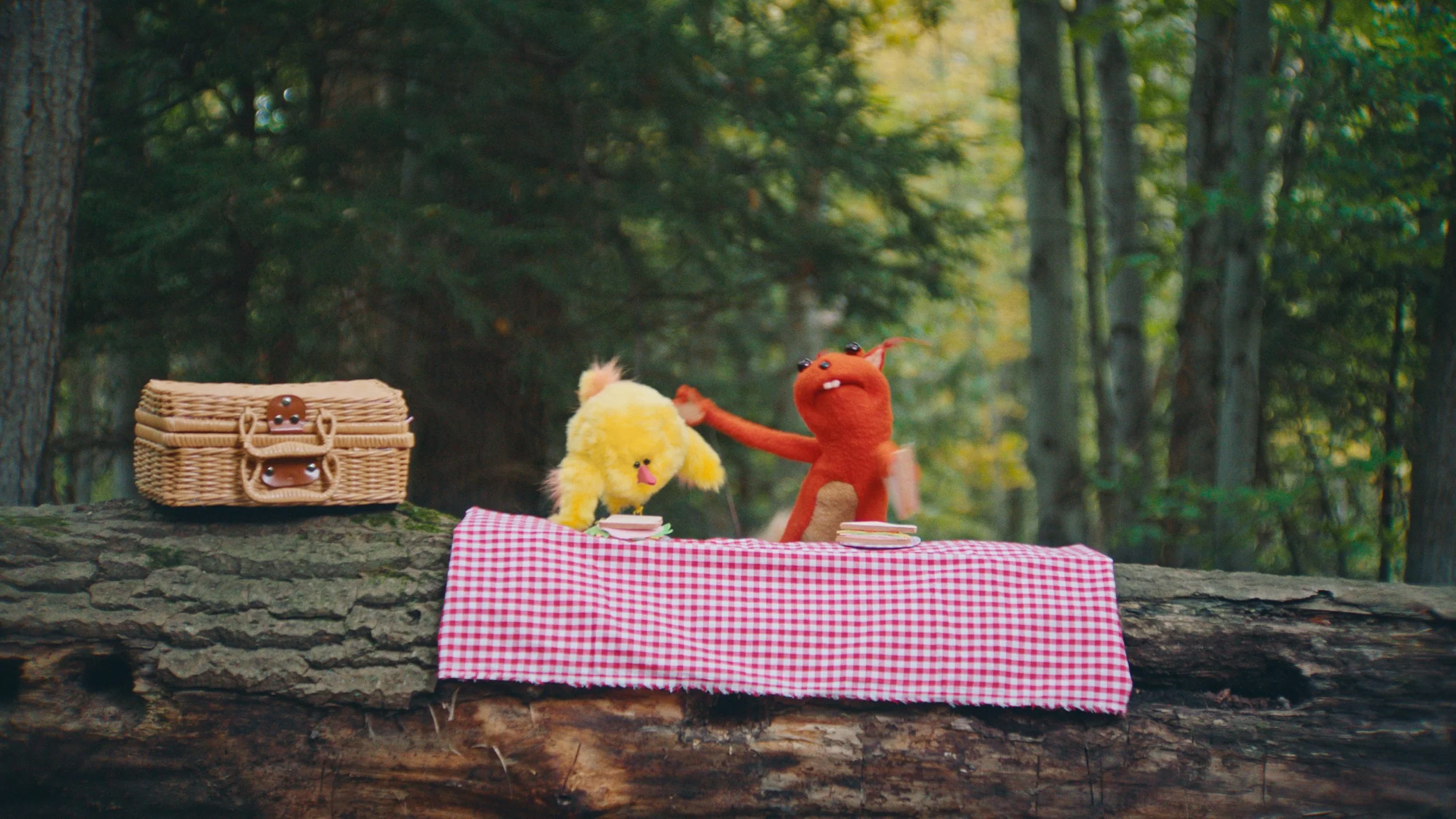 Framegrab from Caring Cabin.jpg