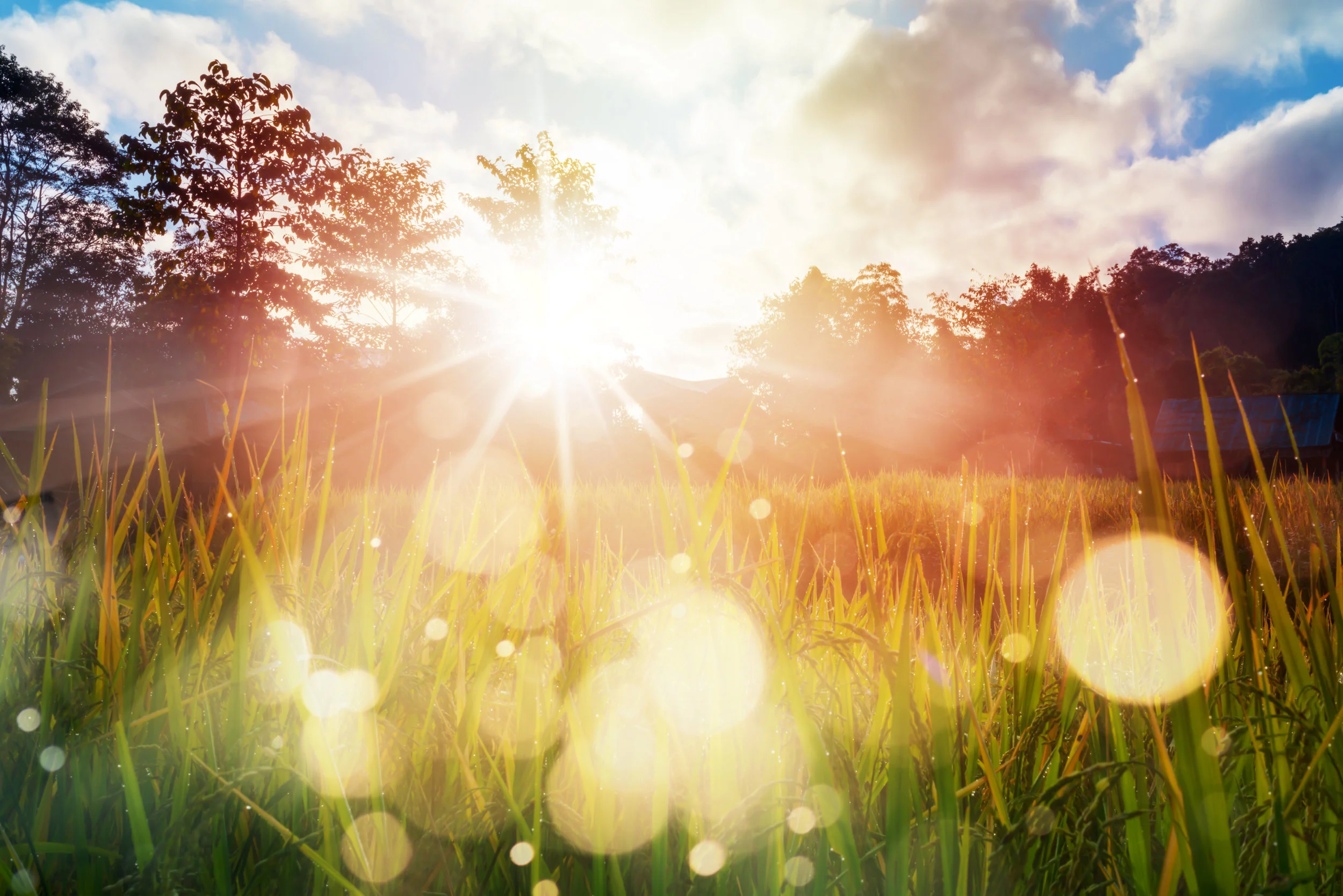Here comes the sun