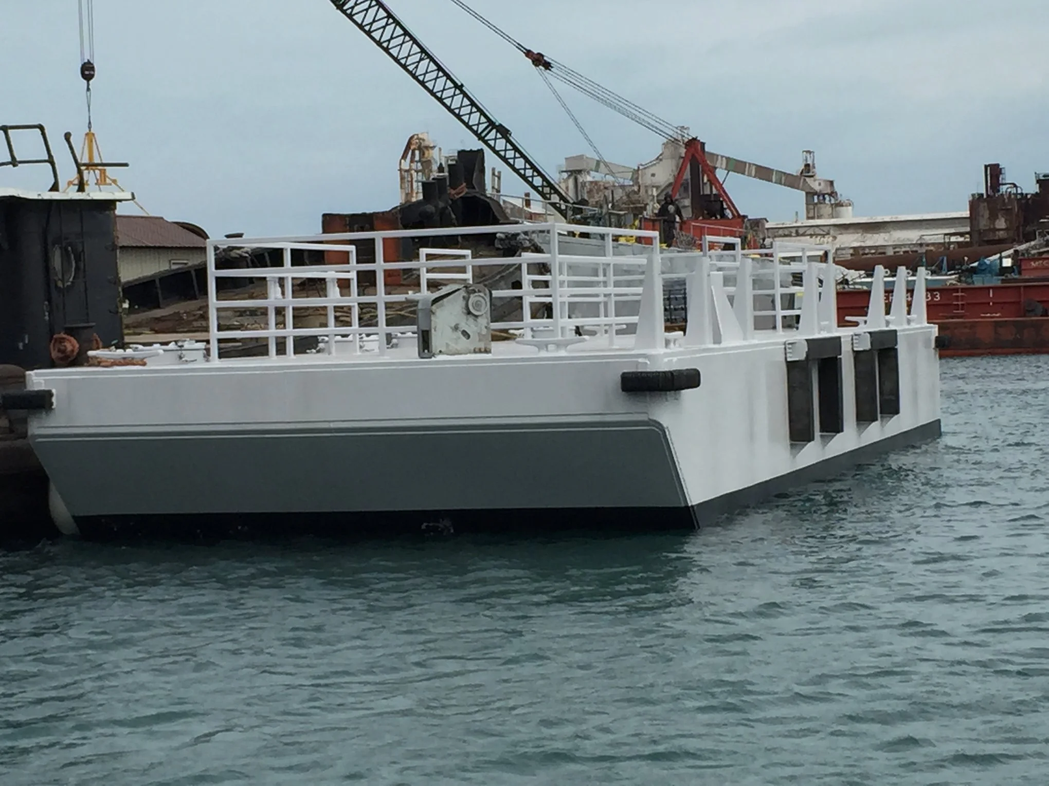 BMD Shoreline Tours.jpg
