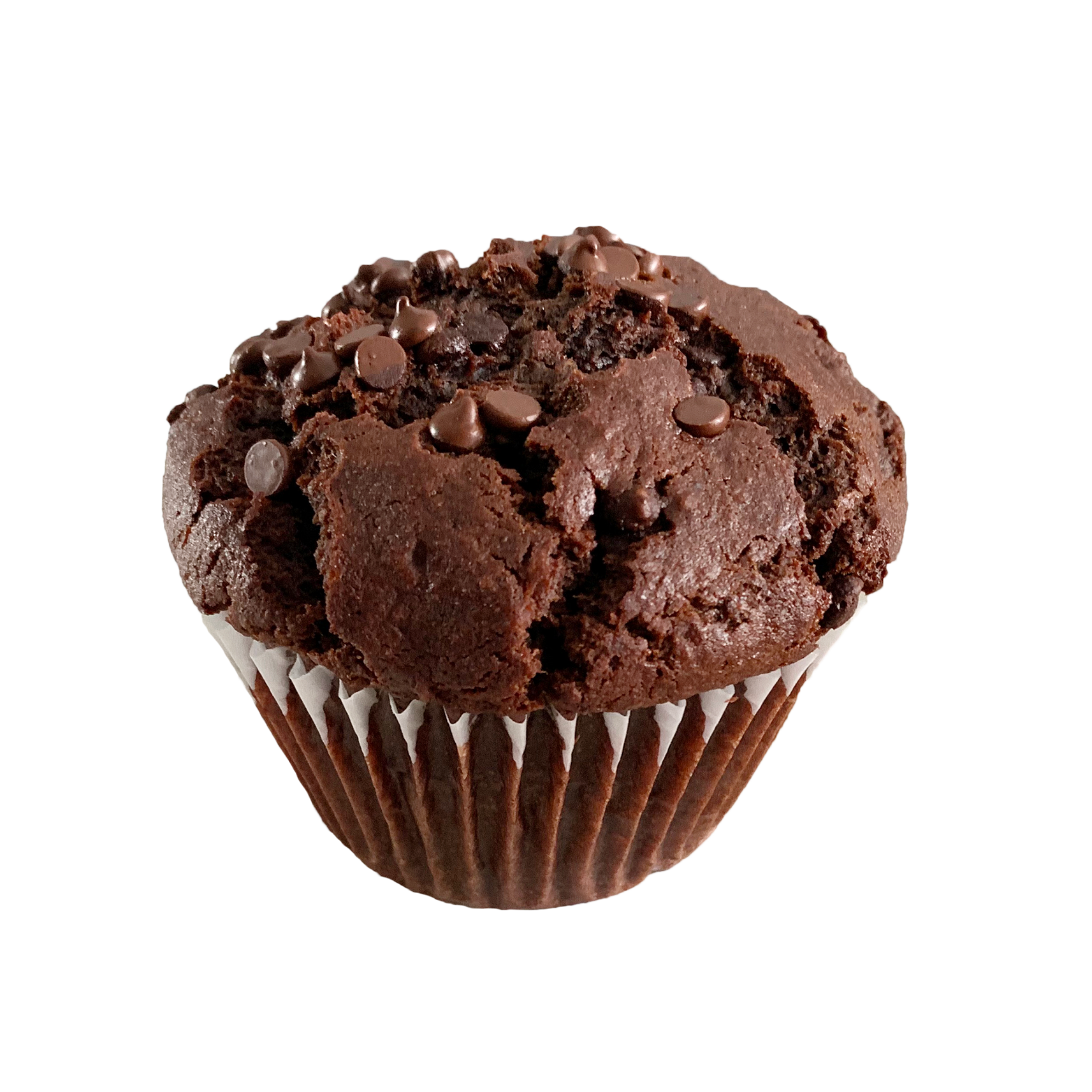Double Chocolate Chip Muffin