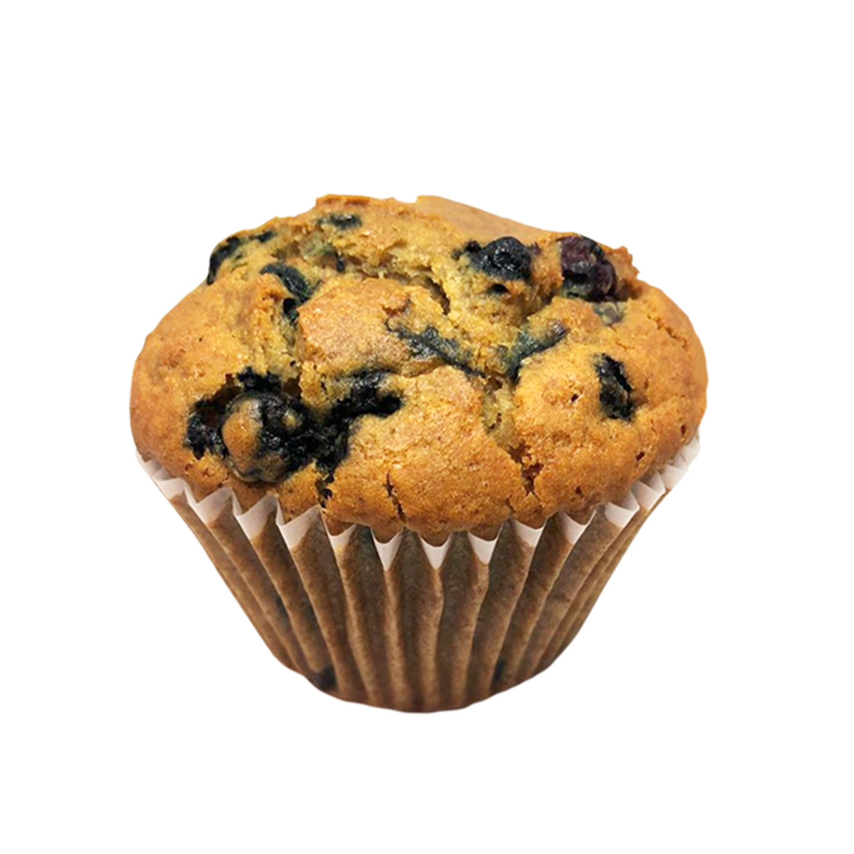 Blueberry Muffin