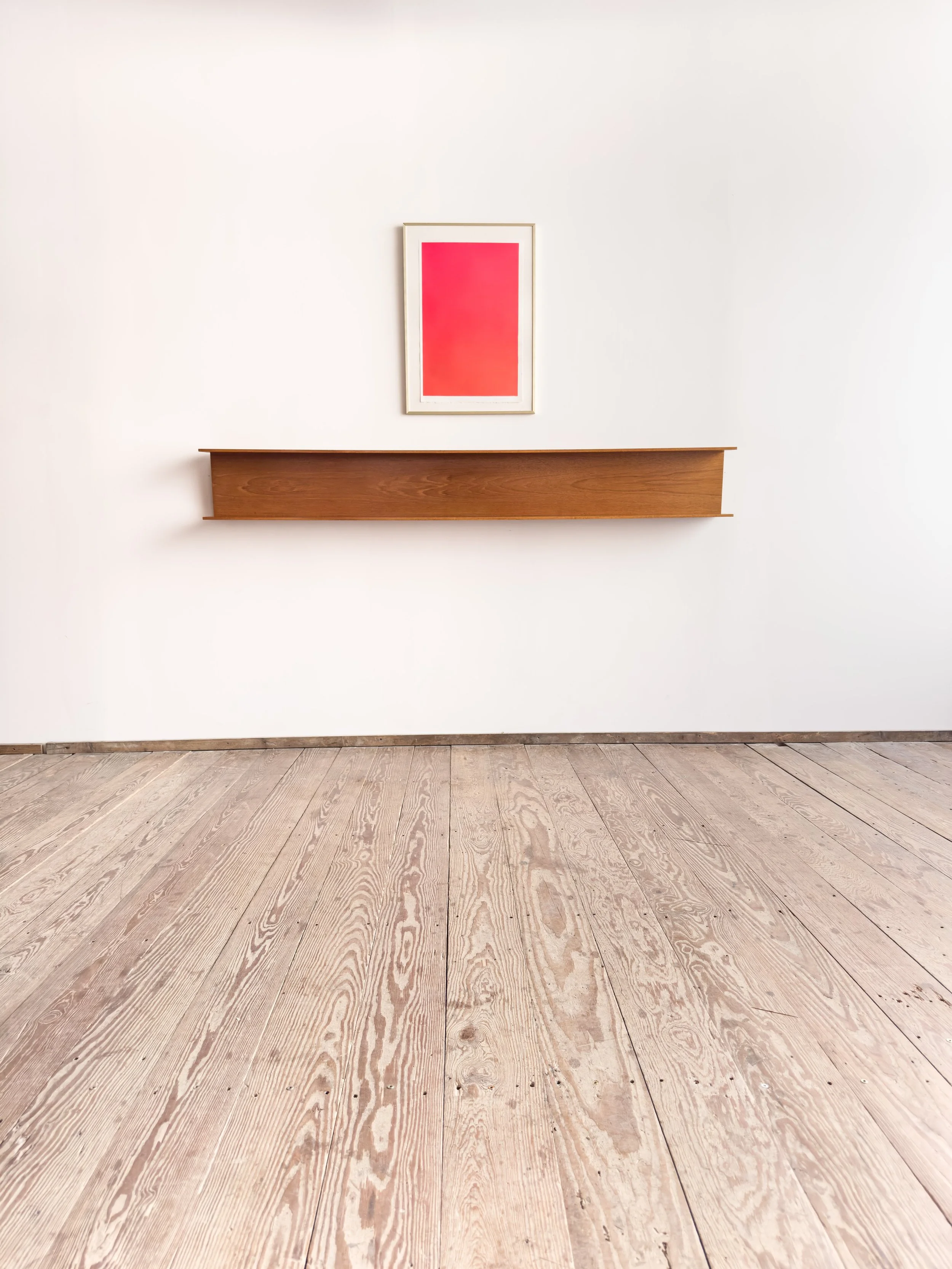 walter-wirz-regal-wall-mounted-shelf-mid-century-modern-furniture-mucmodern-1.jpg