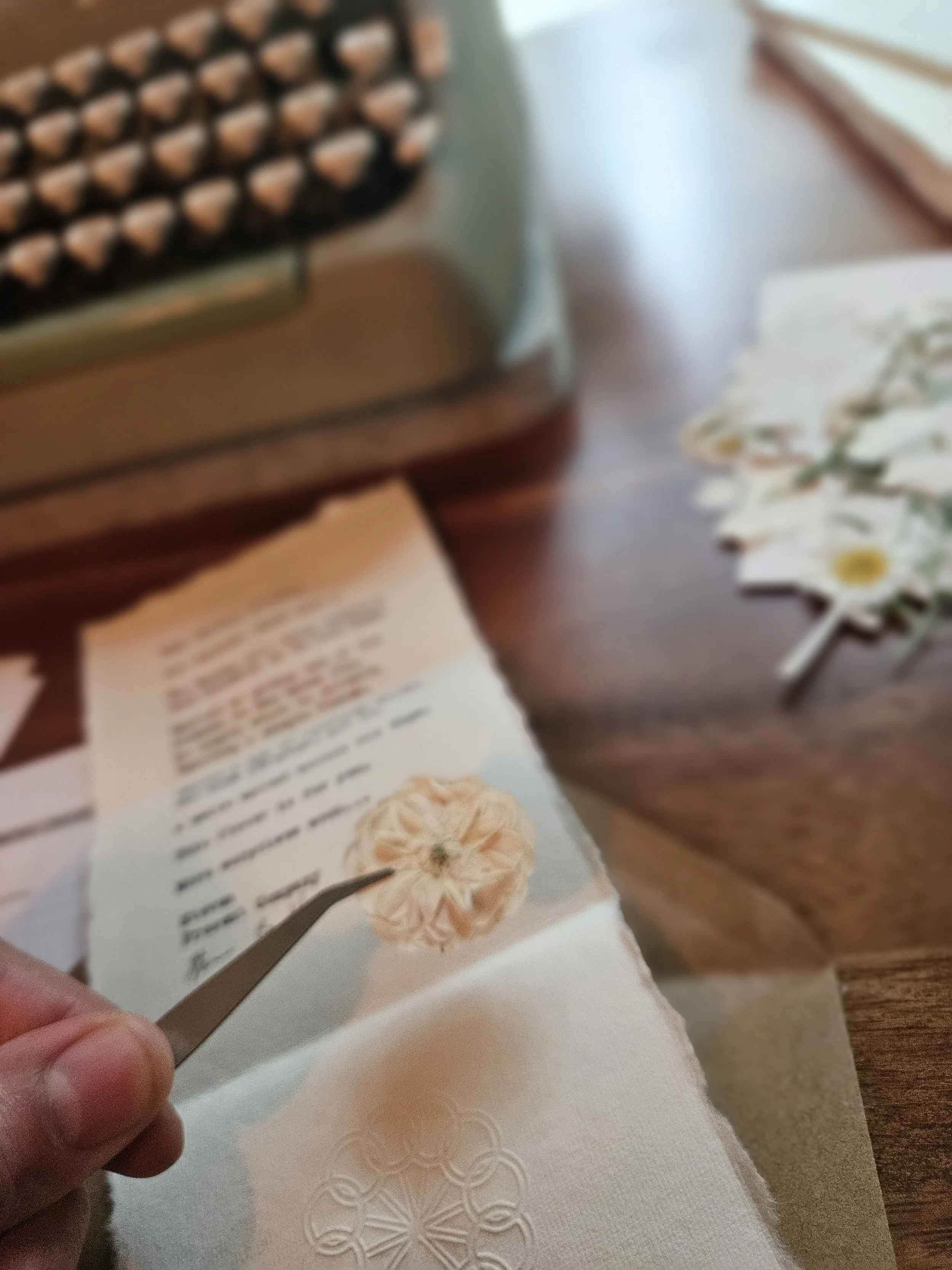 Why Screenless Living Made Me Happier: A Waldorf Parent's Journey