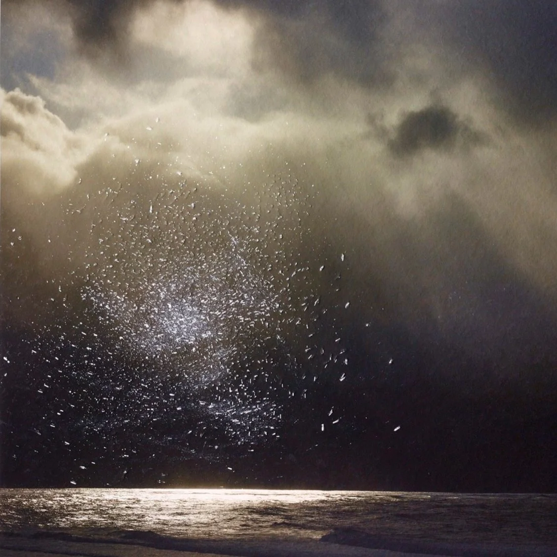 Christy Bush: Familiar and Tabitha Soren: Relief at Laney Contemporary, Savannah