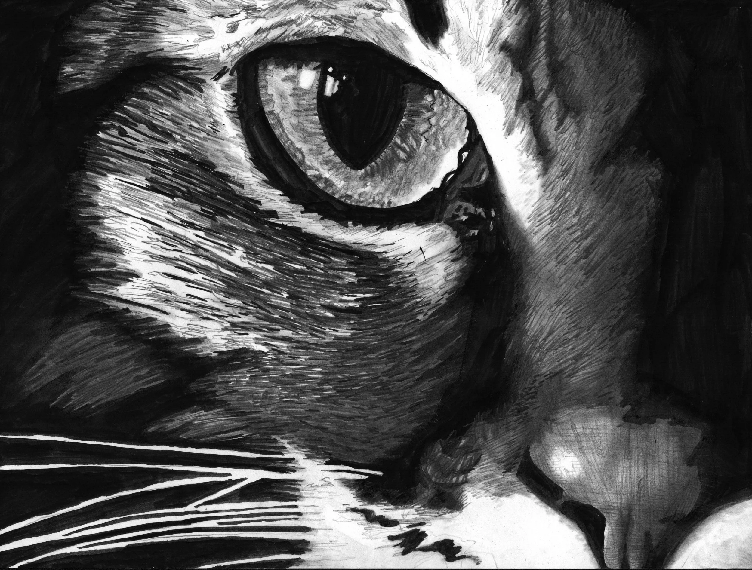 "Eye of the Cat" signed, fine art print by Geoff Mosse