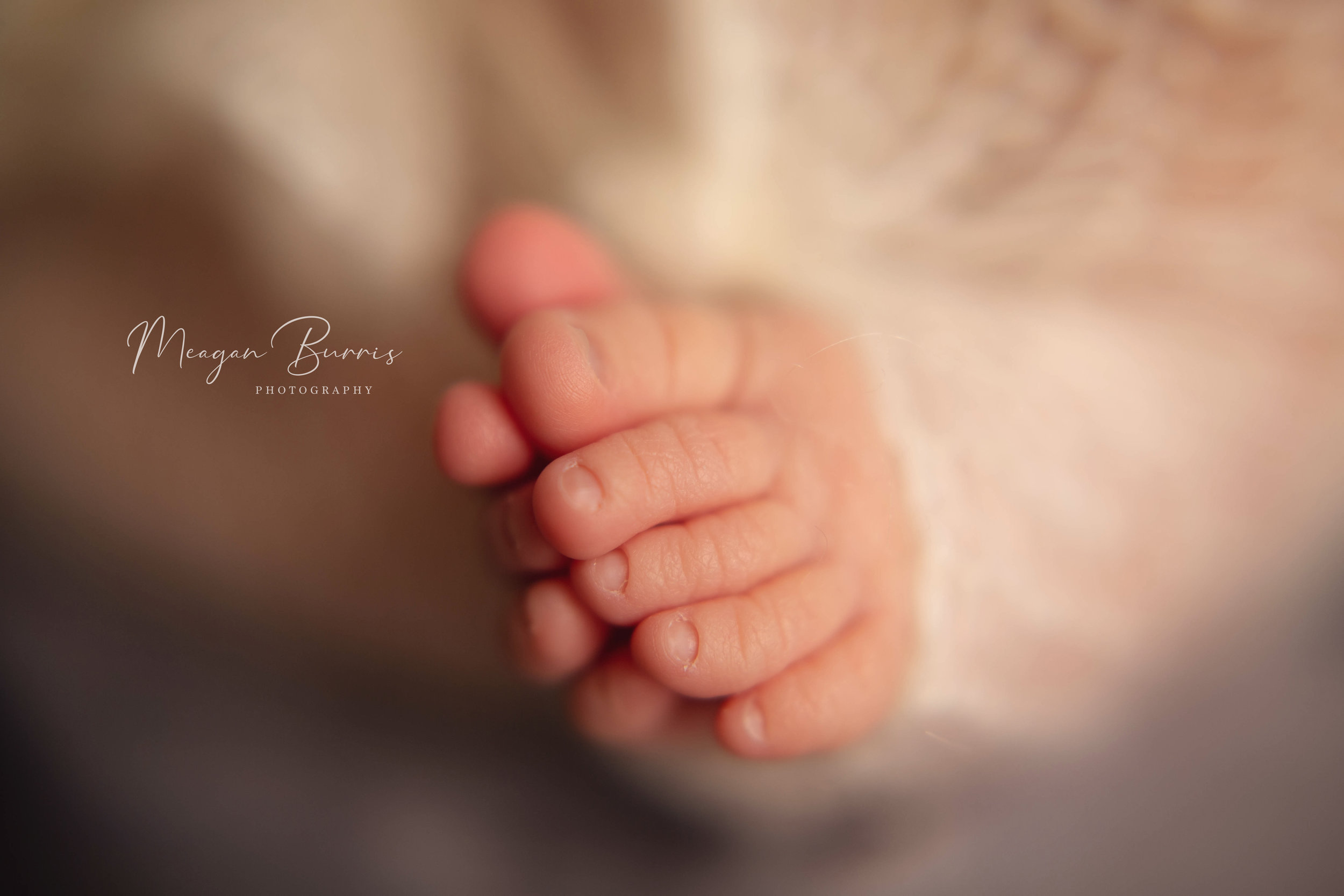 emersyn_ lawrence, indiana newborn photographer8.jpg