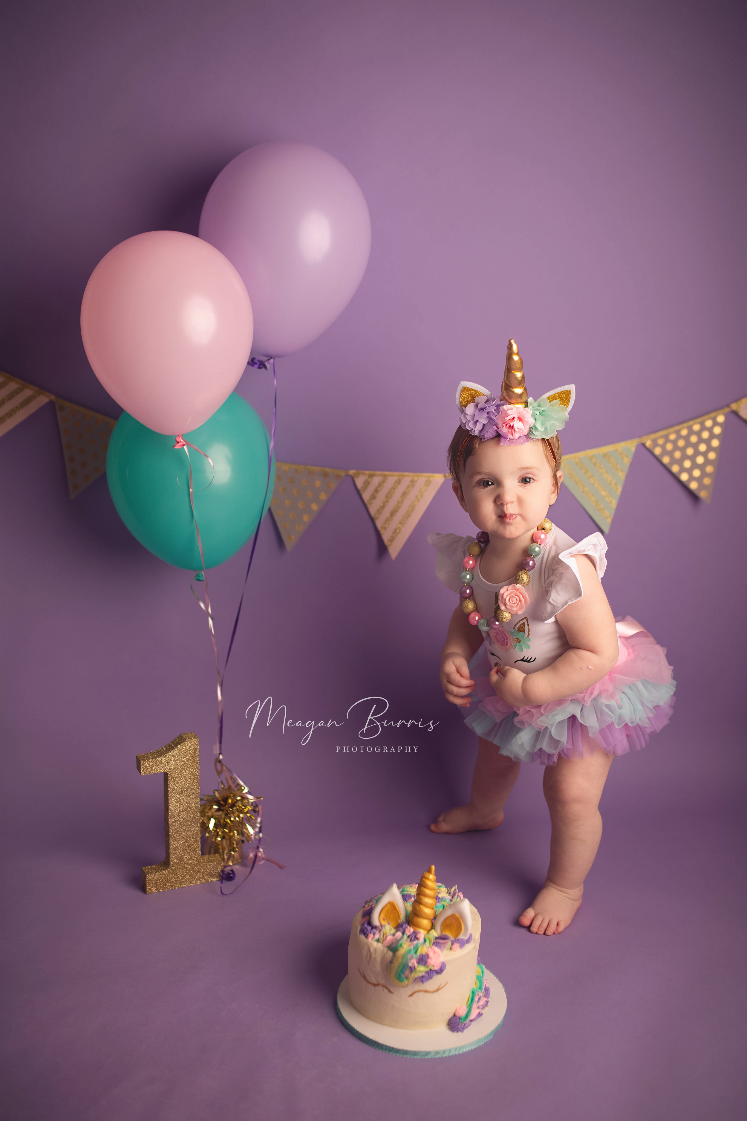 lucyC_indianapolis, in first birthday photographer2.jpg