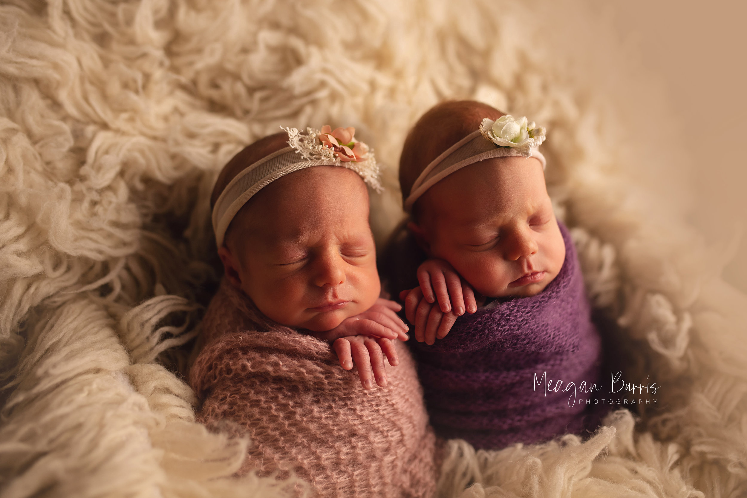 wolf twins_ greenwood newborn photographer3.jpg