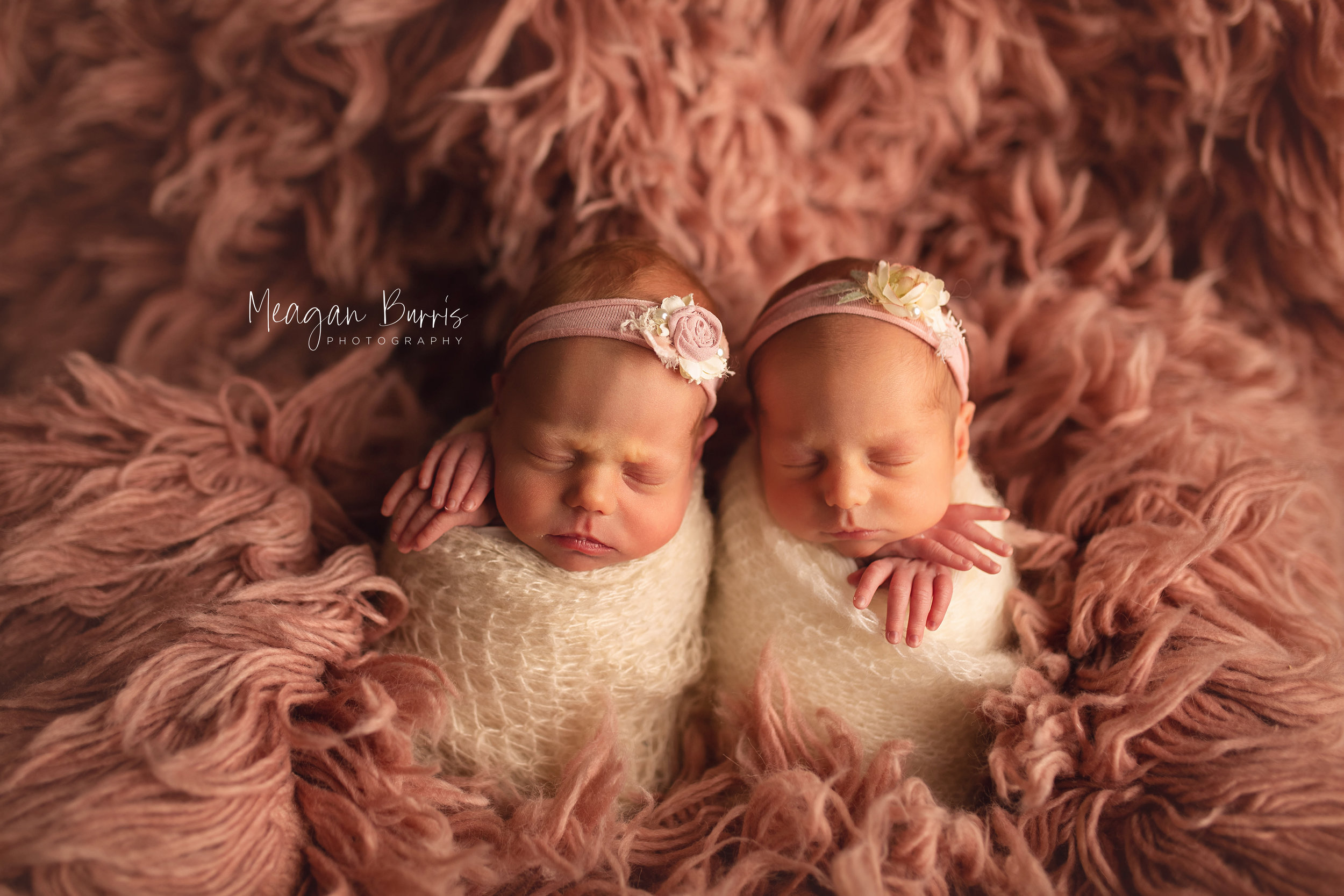 wolf twins_ greenwood newborn photographer4.jpg