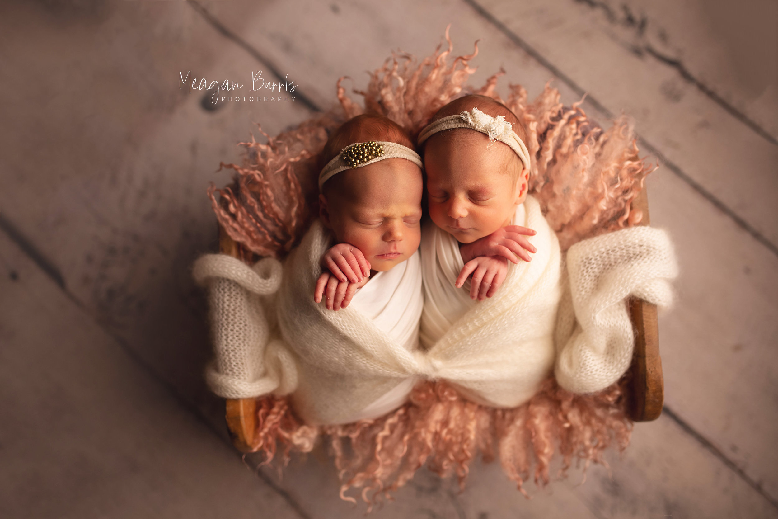 wolf twins_ greenwood newborn photographer5.jpg