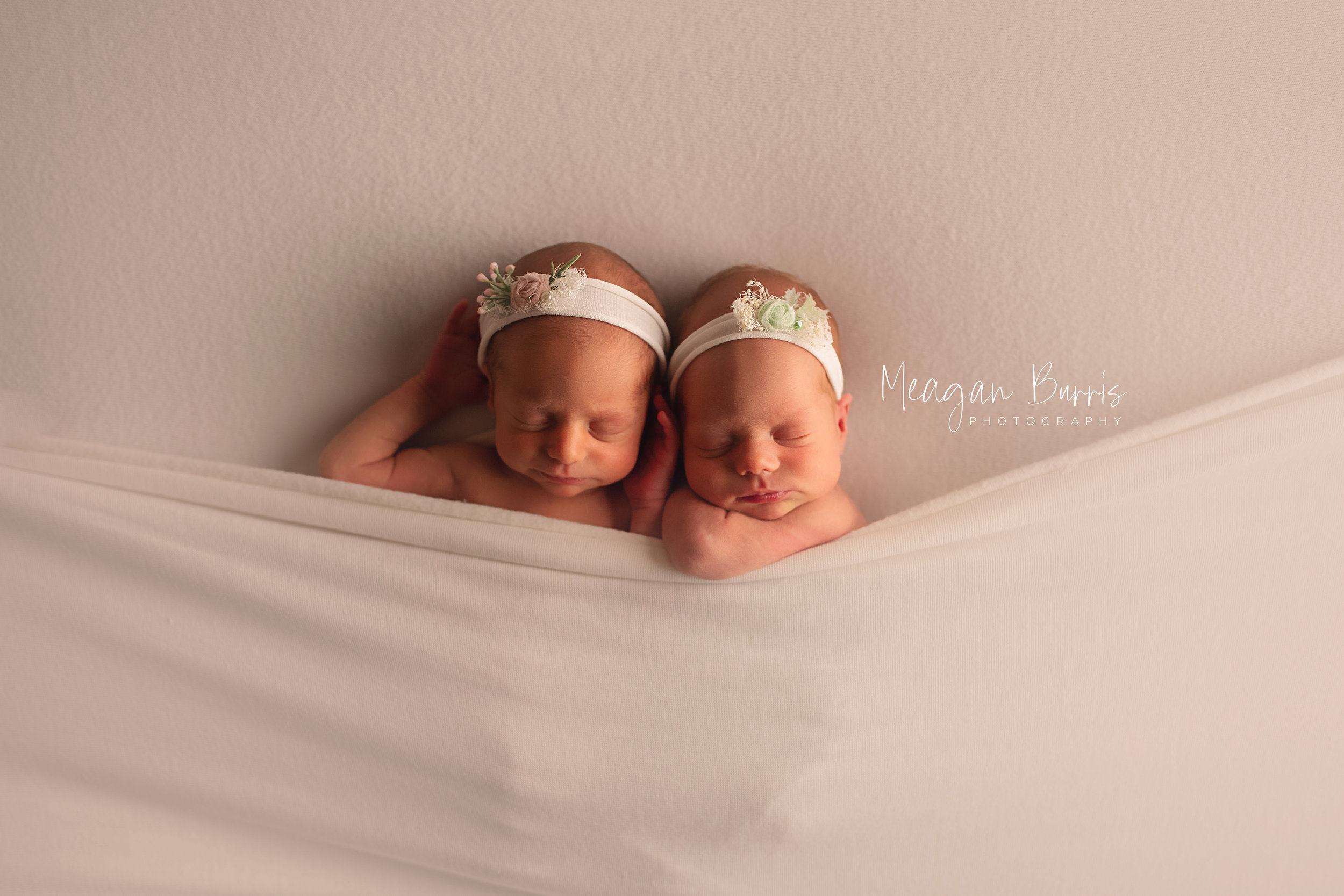 wolf twins_ greenwood newborn photographer6.jpg