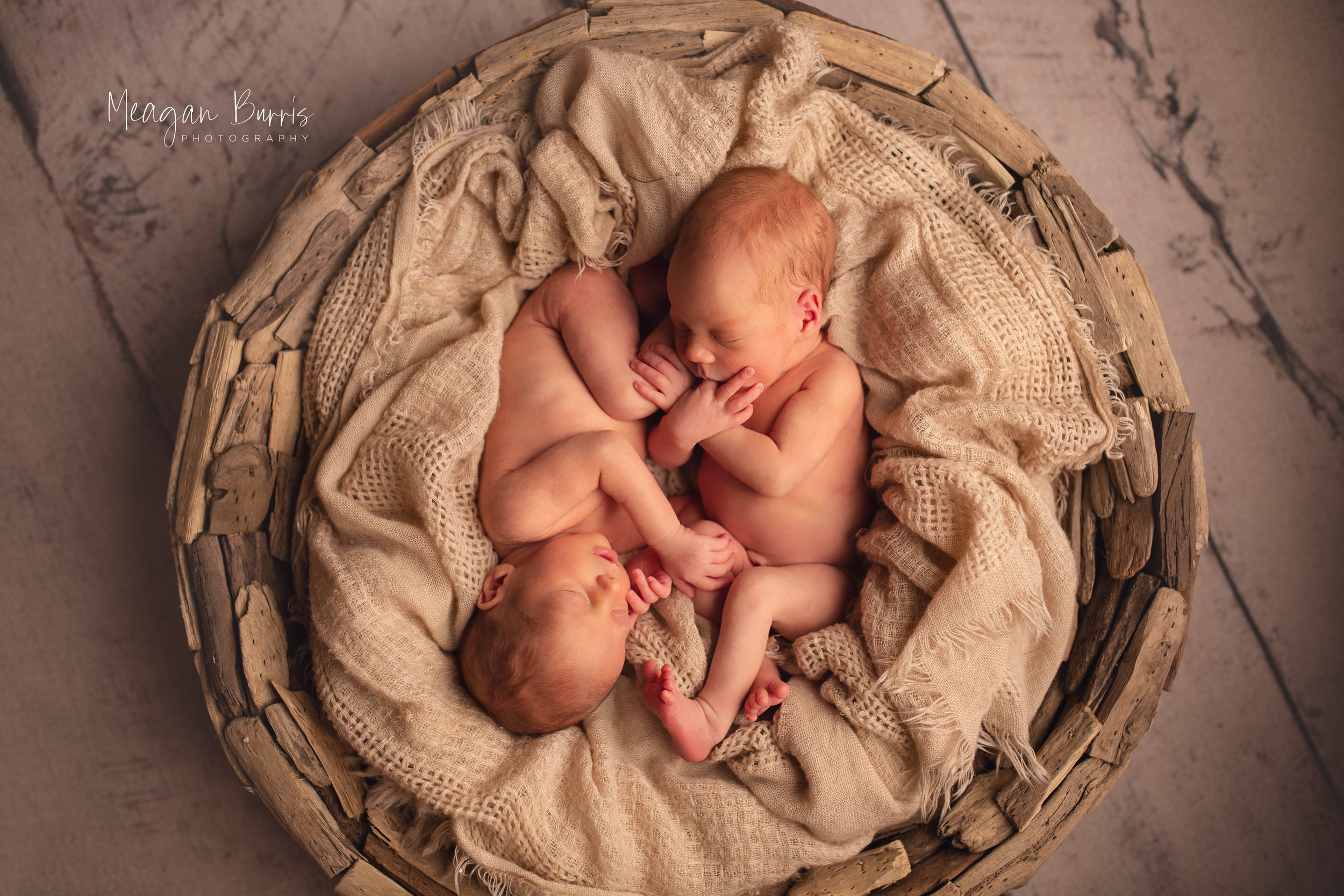 wolf twins_ greenwood newborn photographer10.jpg