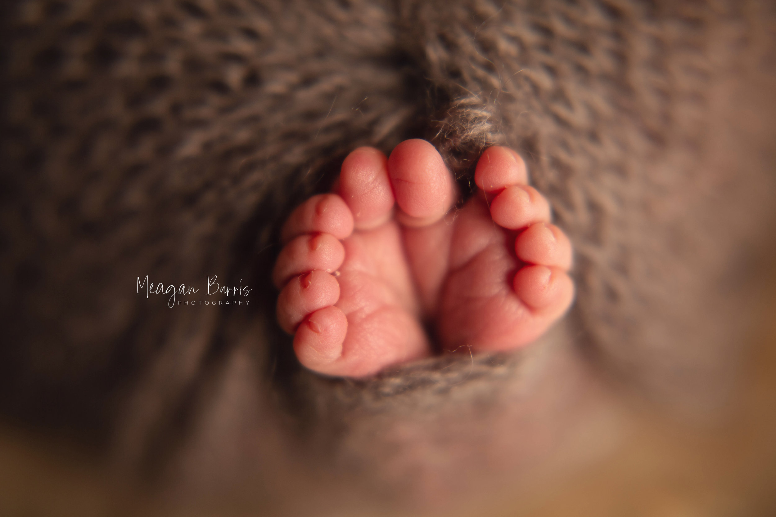 charlottem_ indianapolis newborn photographer4.jpg