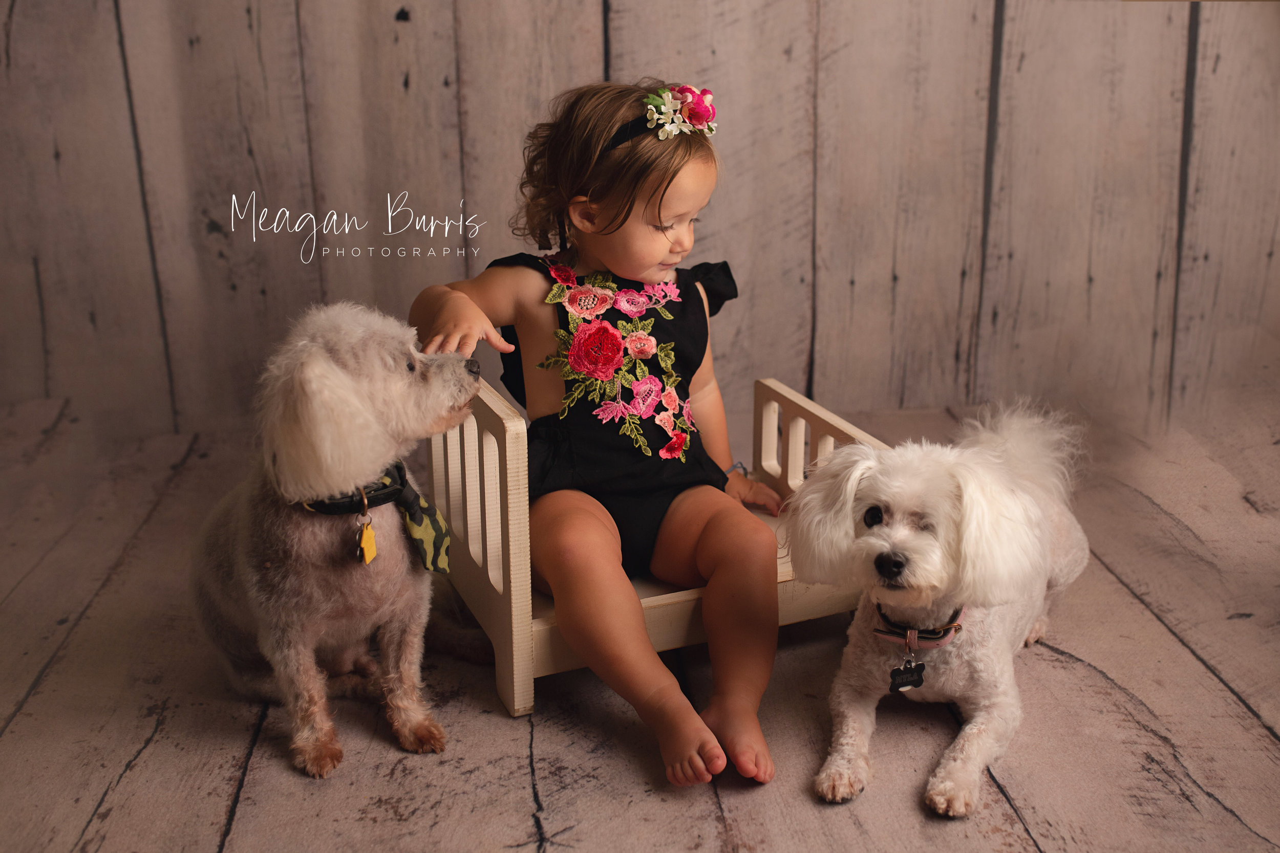 eloise18mo_ new palestine milestone photographer7.jpg