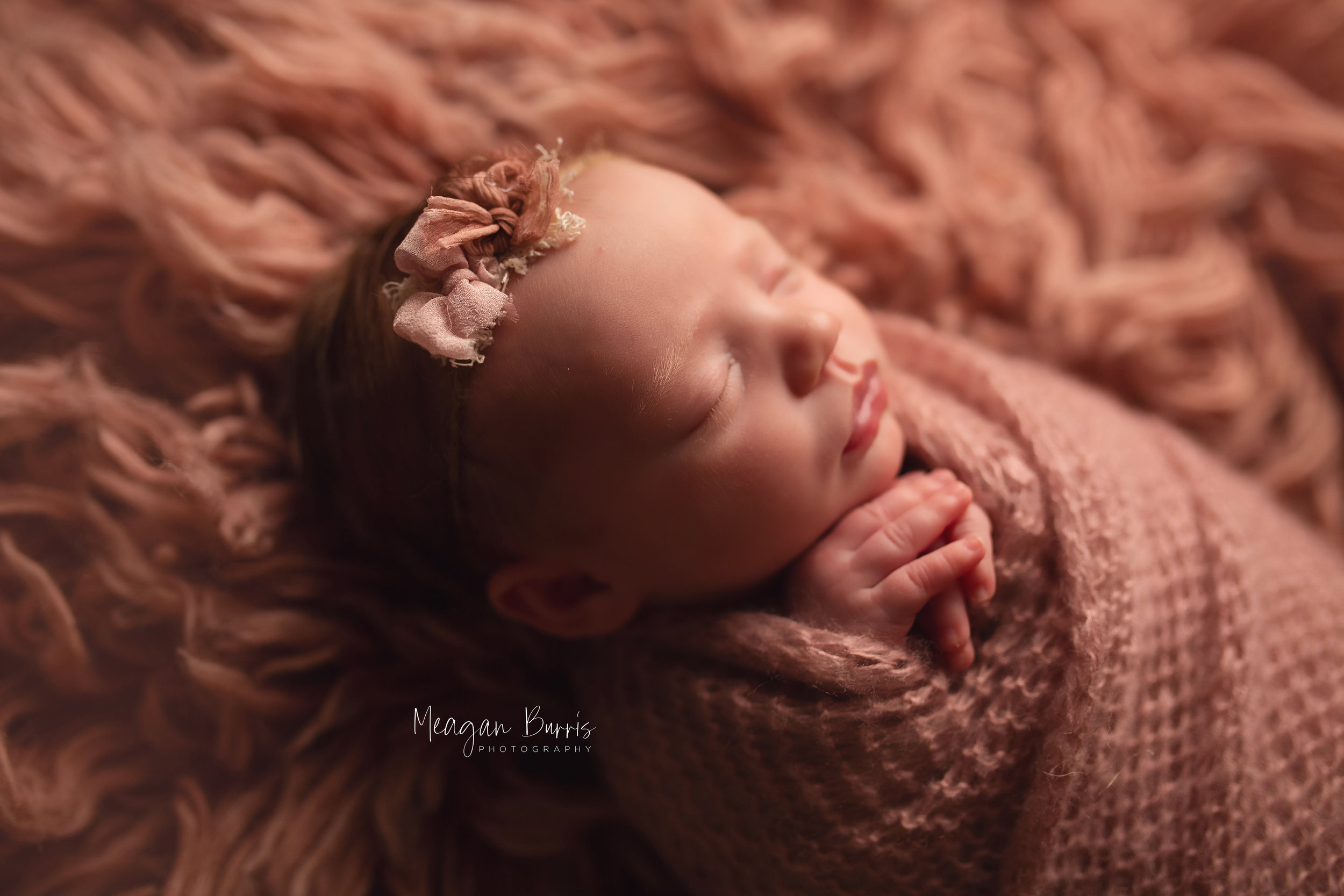 whitley_ mooresville newborn photographer2.jpg