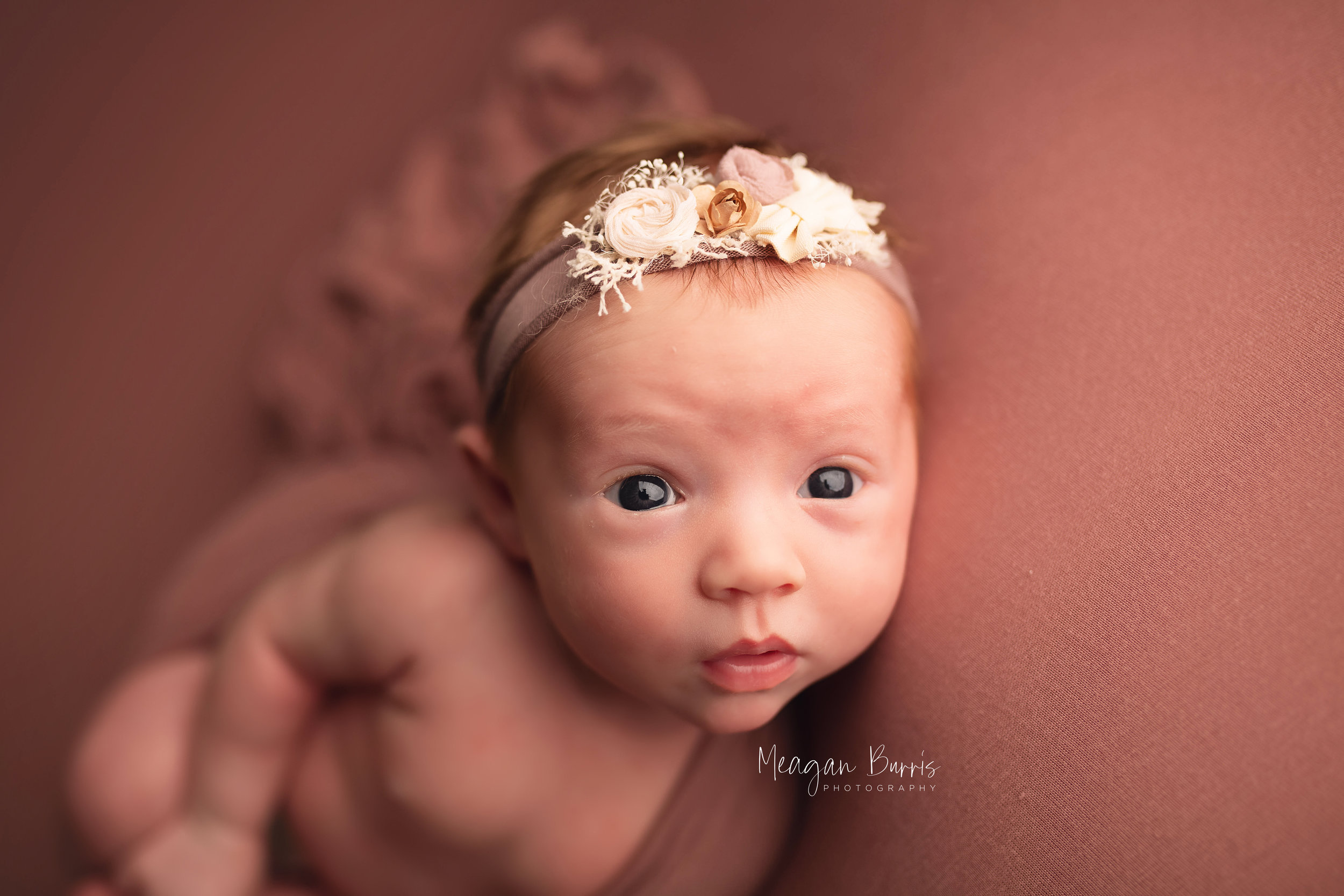 whitley_ mooresville newborn photographer4.jpg