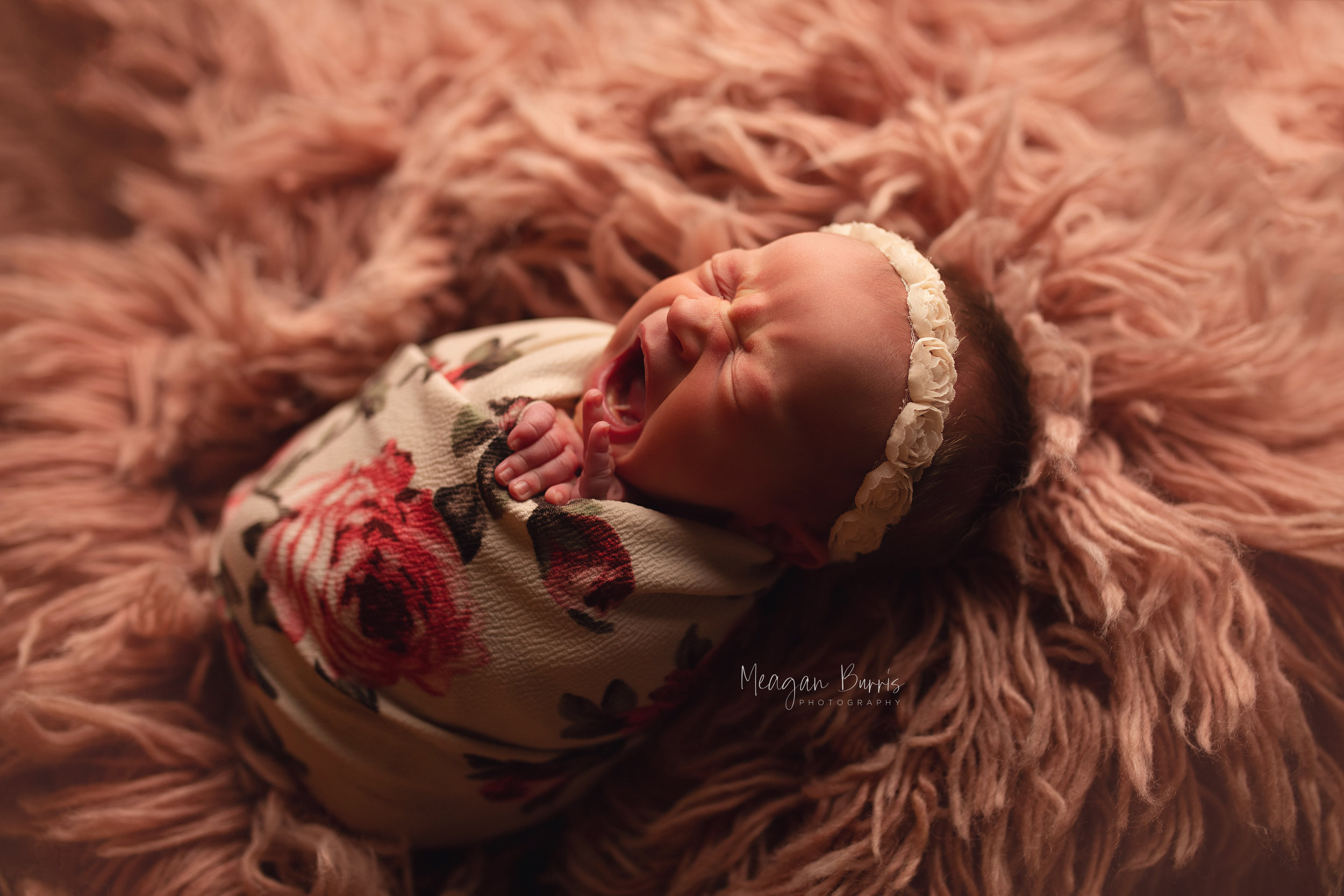 rhea_ bargersville newborn photographer1.jpg