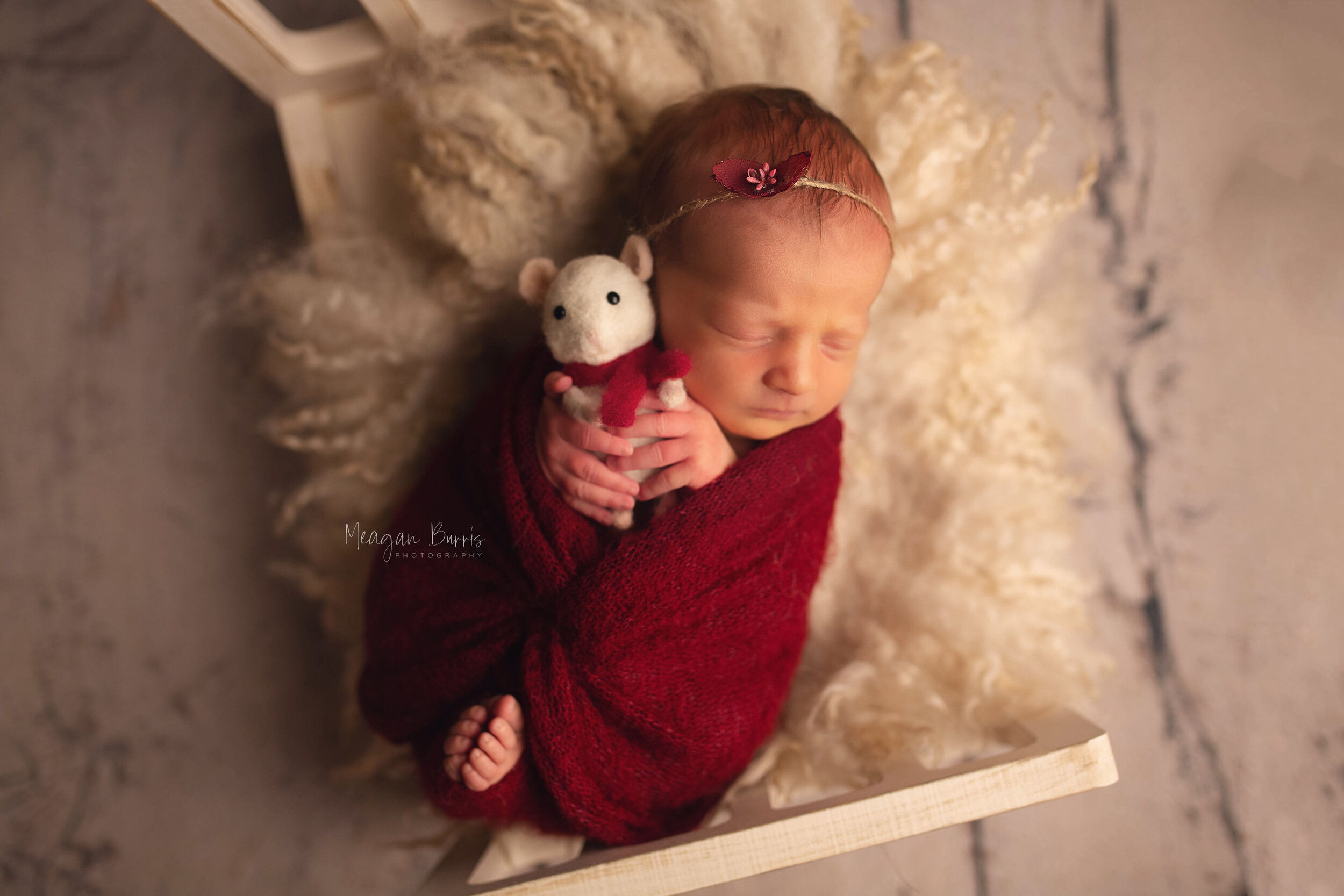 adaline_ greenfield newborn photographer4.jpg