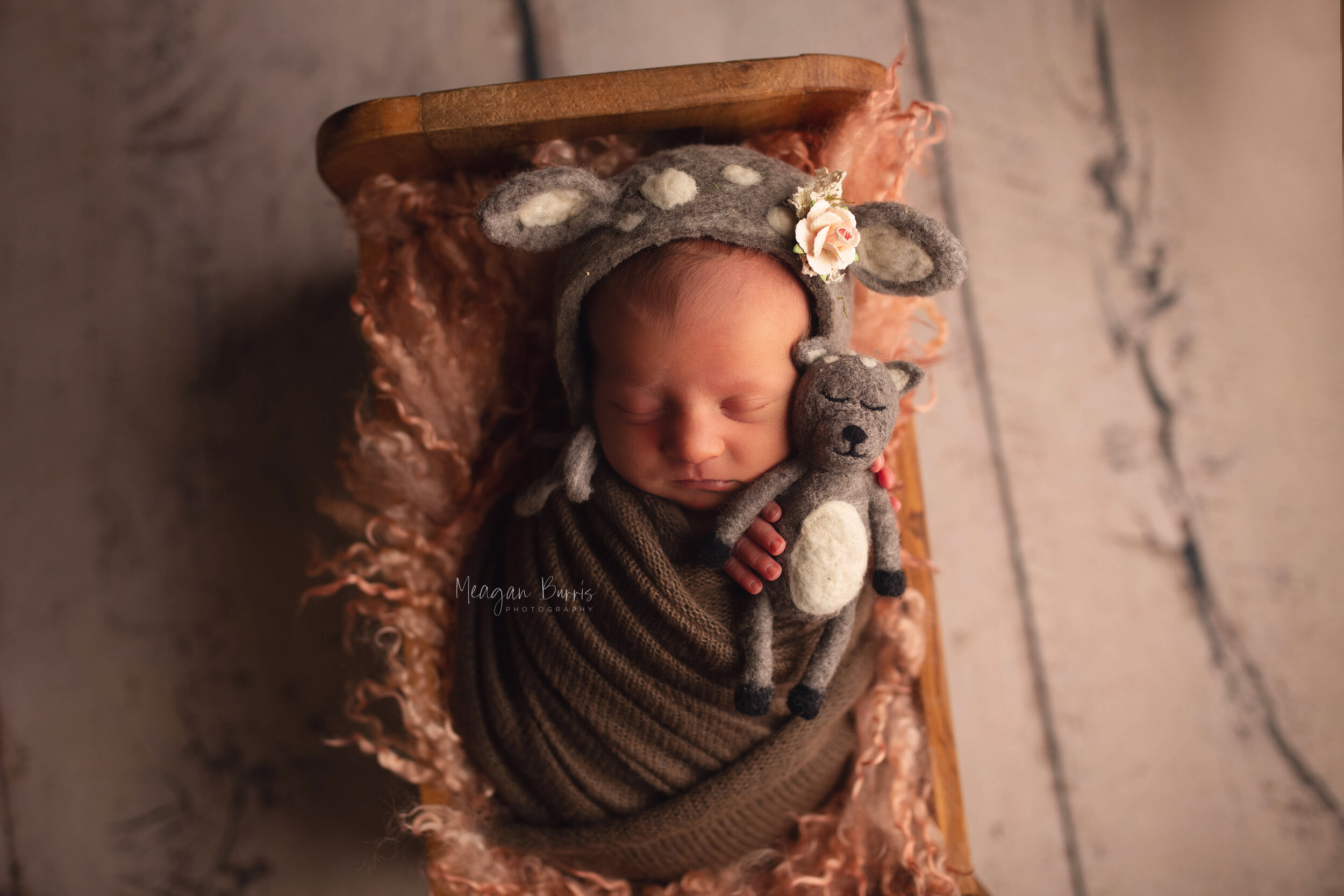 adaline_ greenfield newborn photographer6.jpg
