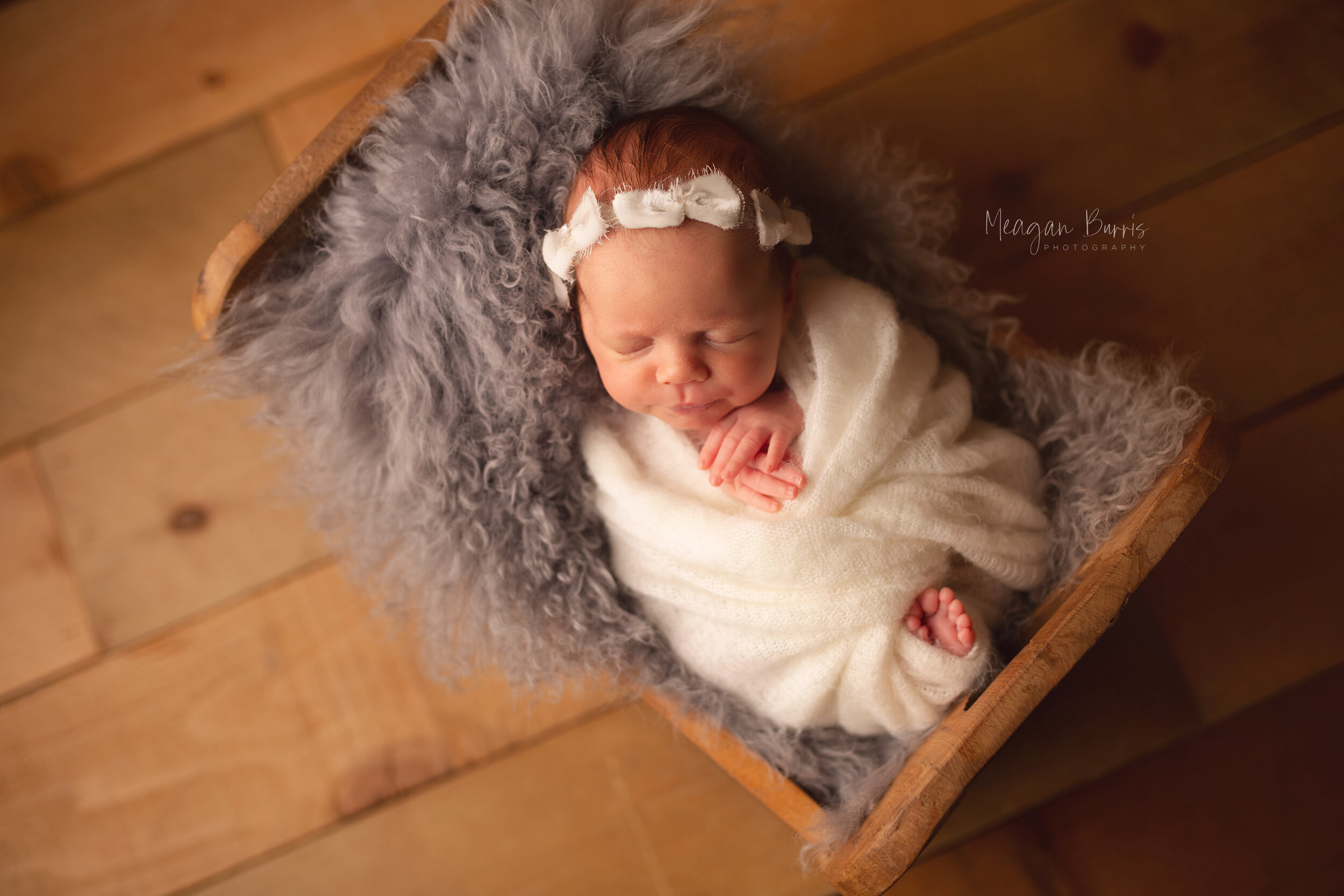 evelynP_ greenwood newborn photographer1.jpg