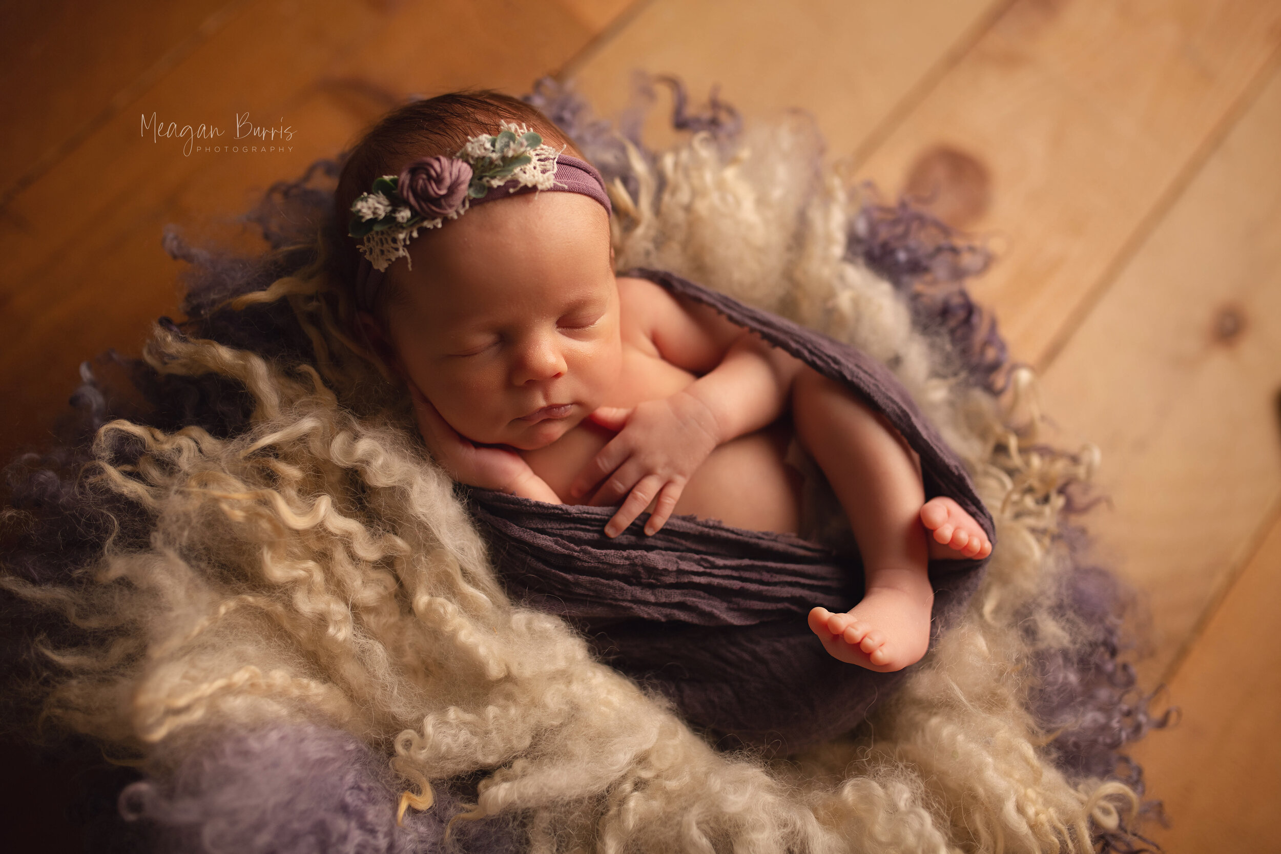 evelynP_ greenwood newborn photographer2.jpg