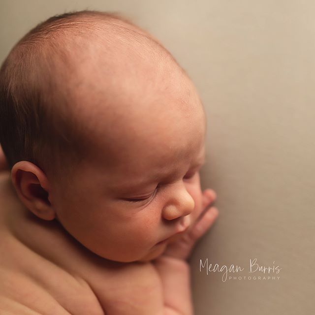 May you all be as cuddly and warm (and okay ... maybe not so squishy haha!) as this little man on this snowy night! #uppababy #citymini #cityminijogger #halobassinet #newborn #newbornmom #newbornphotos #newbornphotography #posednewbornphotographer #p