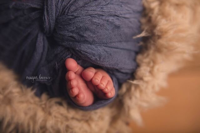 ahhhh those tiny details. I never want my clients to forget them. #fedisbest #owlet #newbornprops #newbornphotoprops #newbornphotos #indynewbornphotos #indianapolisnewbornphotographer #indianapolisnewbornphotos #ochildboutique #janieandjack #indianap
