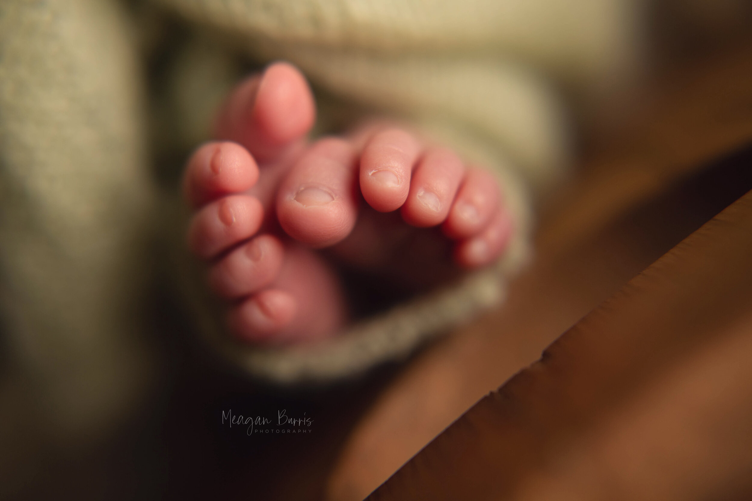 amelia_ greenwood newborn photographer6.jpg
