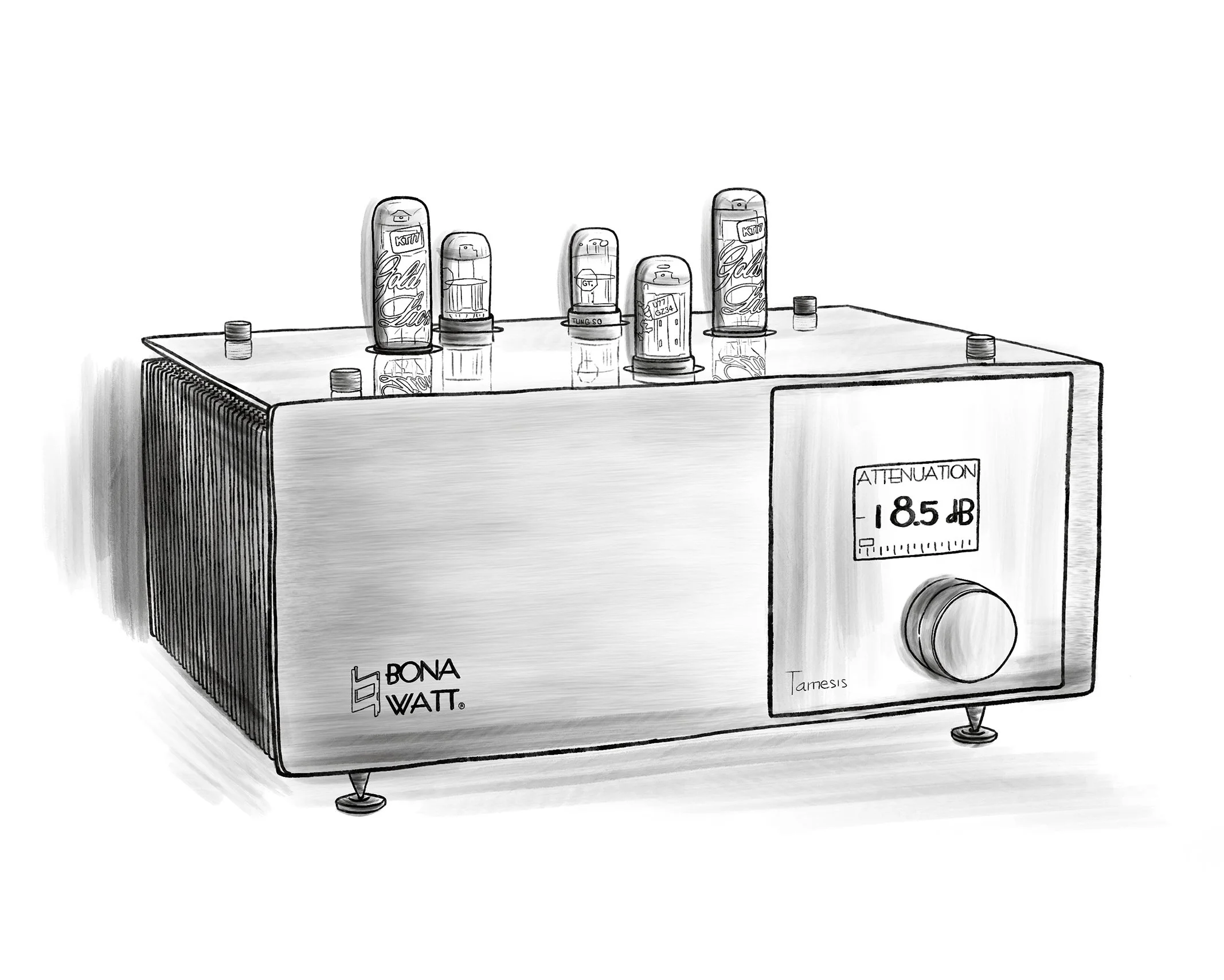 Ray-Tubes-brand-partners-bona-watt-tube-amplifiers.jpg