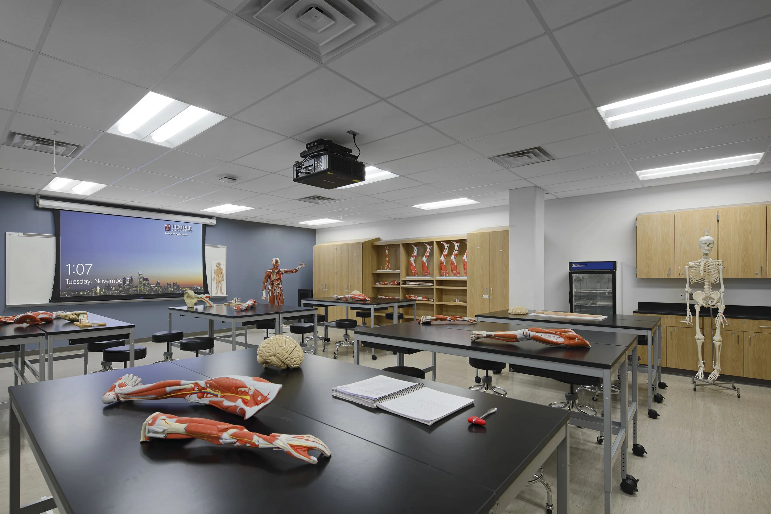 Temple University — Pearson A&P , Philadelphia, PA Our team recently completed renovations that contribute to Temple University’s growing Anatomy and Physiology Studies. The work included converting the existing 7,500 SF space into five new larger Classroom Labs, comprised of Anatomy & Physiology classrooms, Athletic Training classroom and an Exercise Science classroom. The new Anatomy & Physiology labs include insulated GWB walls, new doors, furniture, finishes, acoustical tile ceilings, light fixtures, casework, plumbing fixtures and re-configured mechanical, electrical, and plumbing systems supporting the renovation. Photography by Matt Wargo