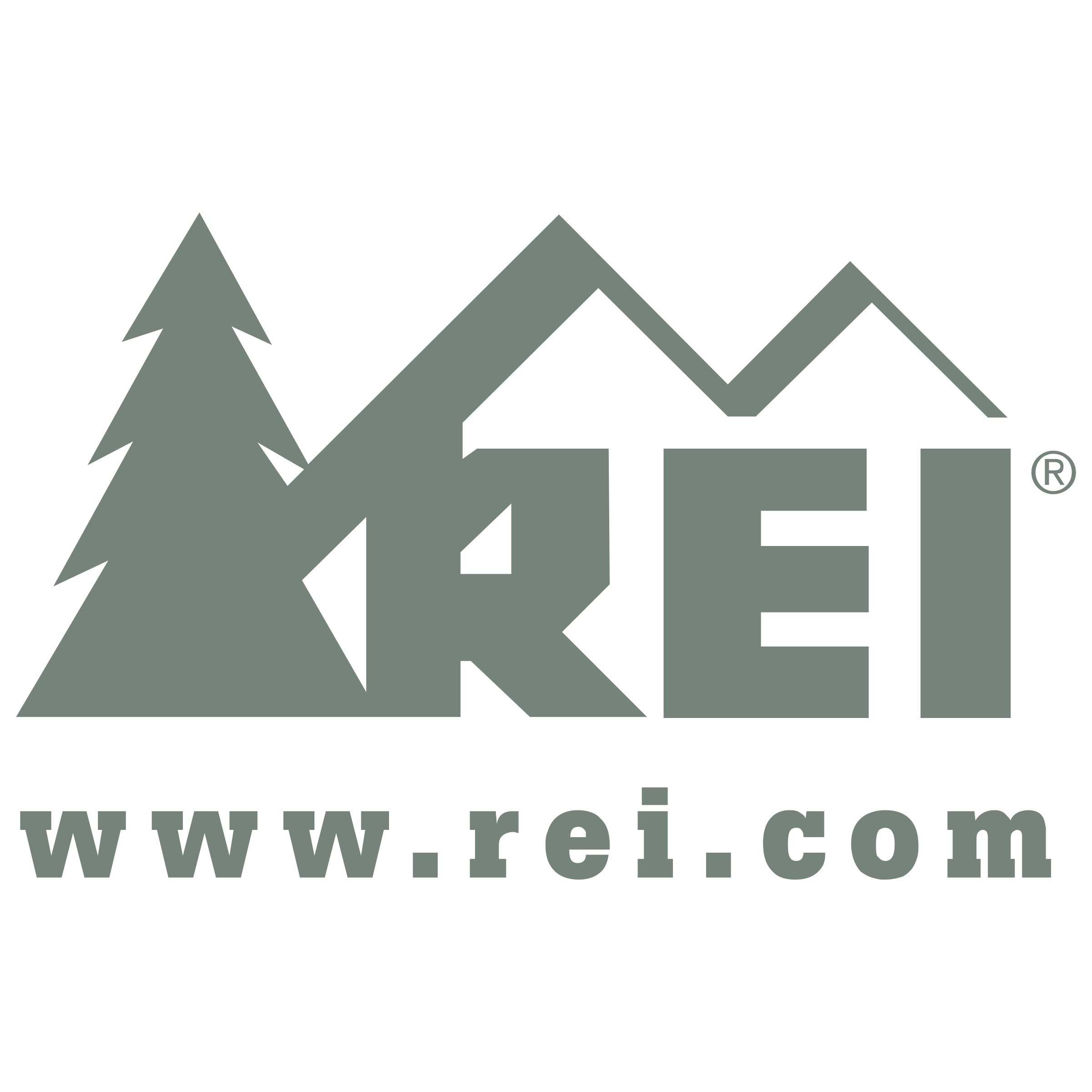 rei-logo-png-transparent.png