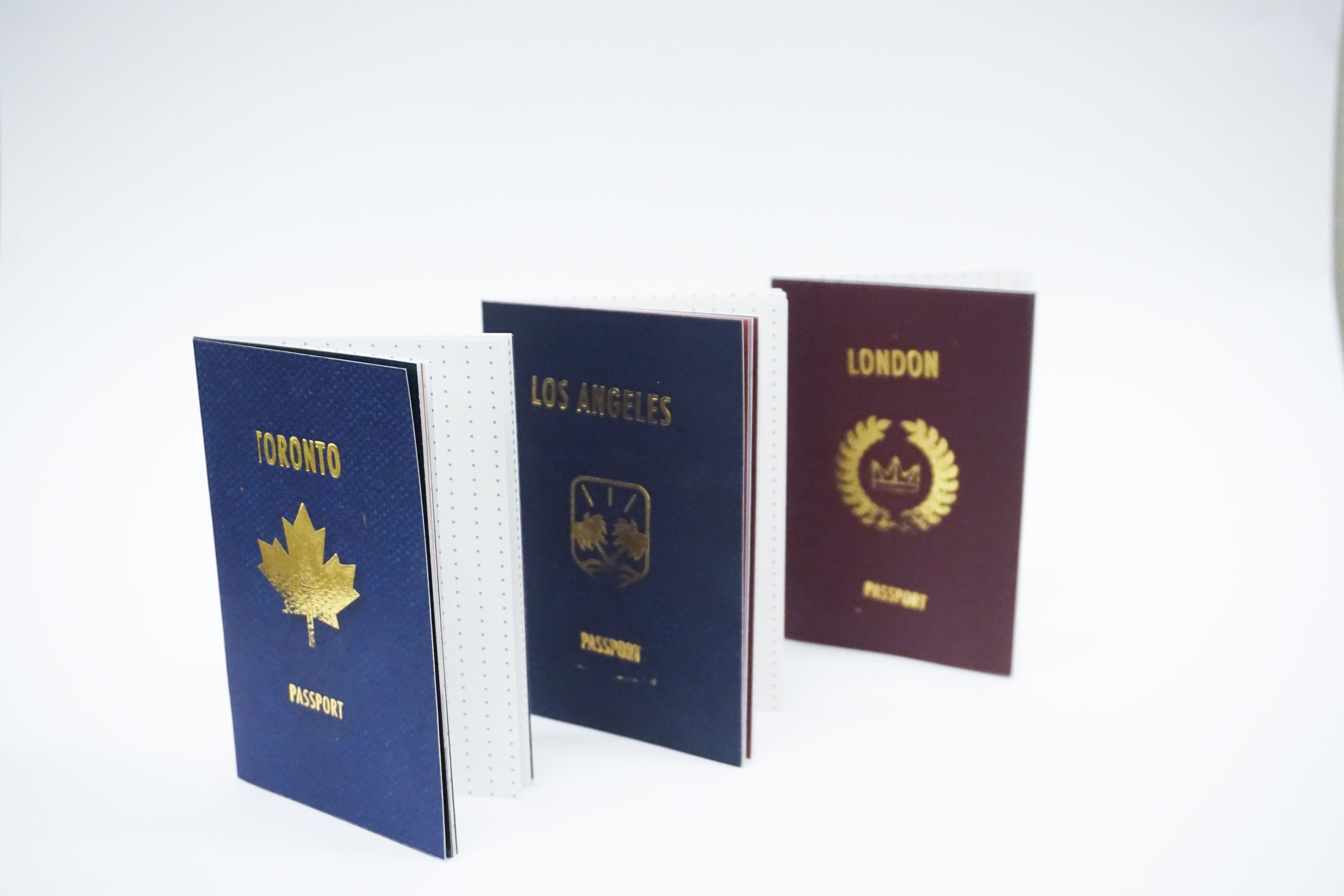 passports cover.jpg