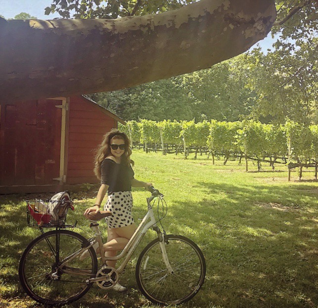 bike vineyard.jpeg