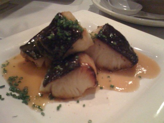 HALIBUT_WITH_SALSA.jpg