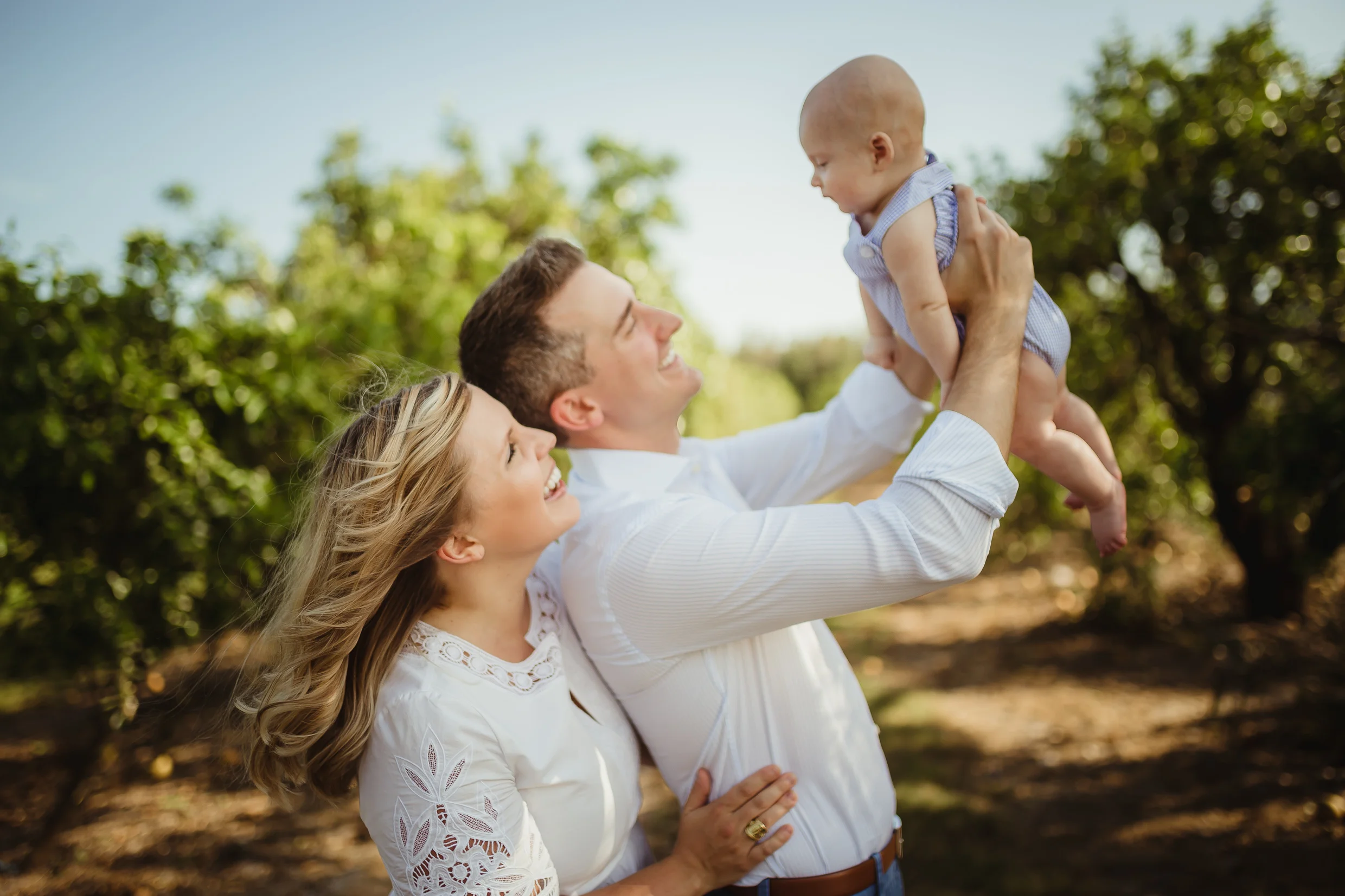 {Orange Grove Minis <3}