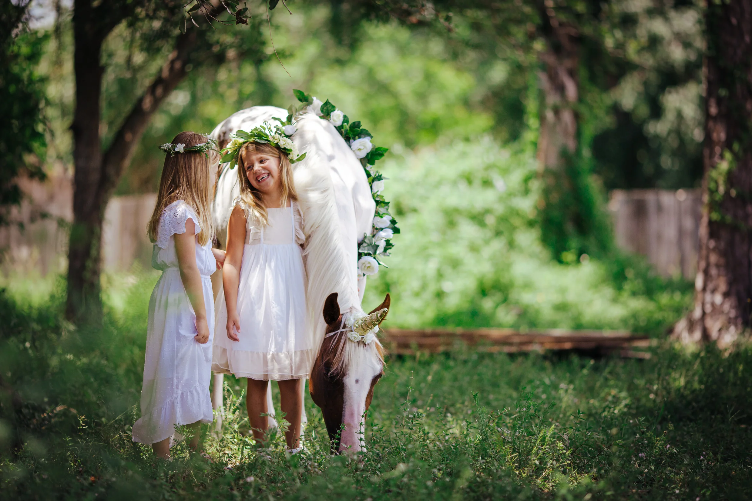 Unicorns DO exist... 