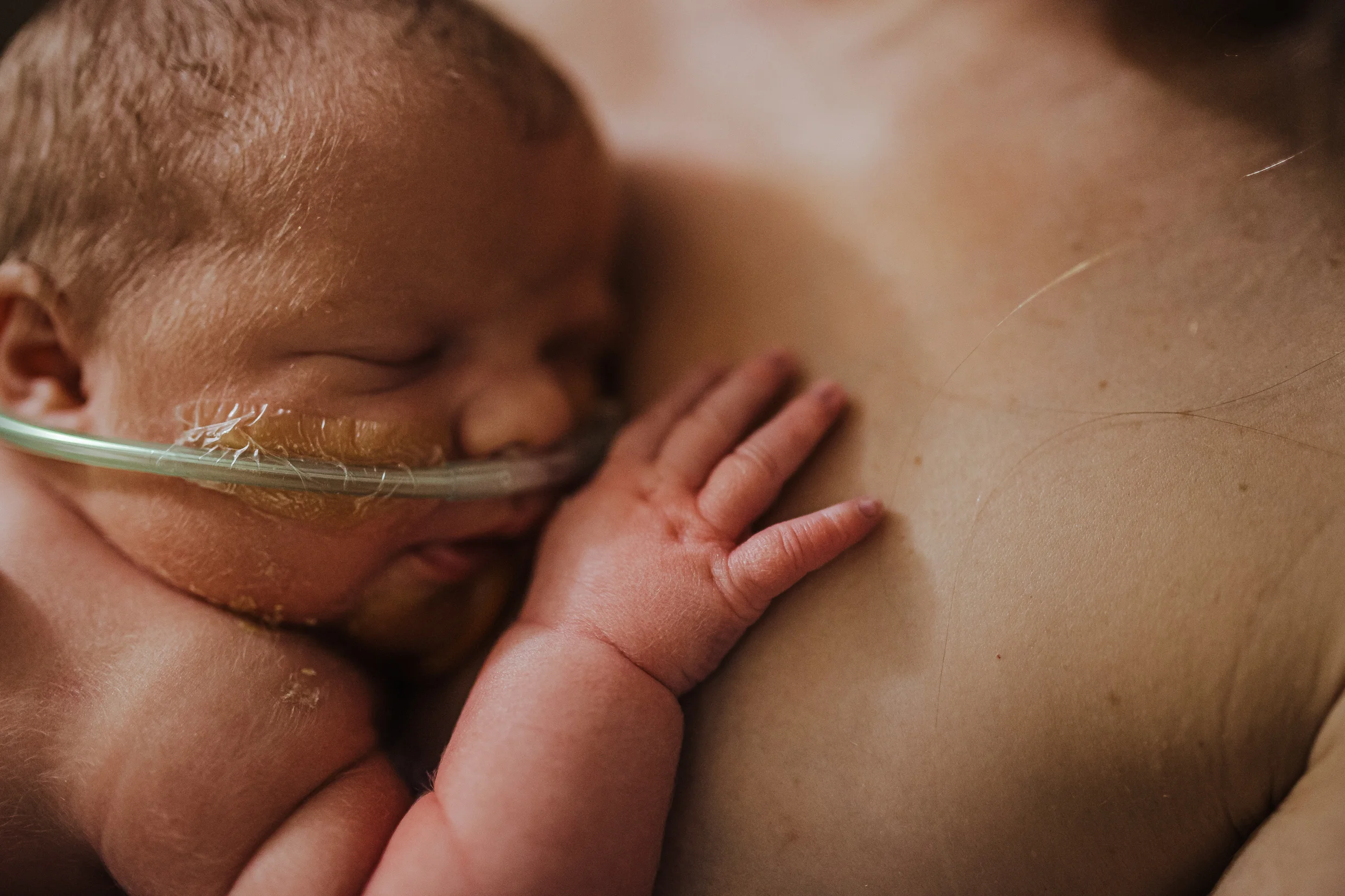 {NICU Fresh48~ Baby Veronica} 