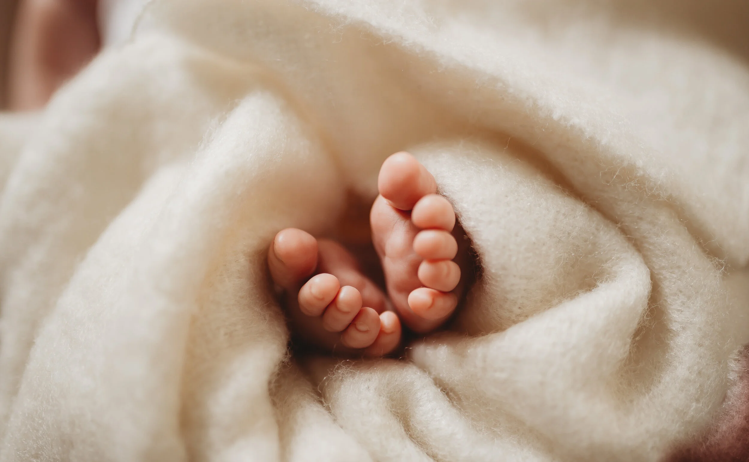 Enter... the BIRTH PANIC... HAVE NO FEAR! 