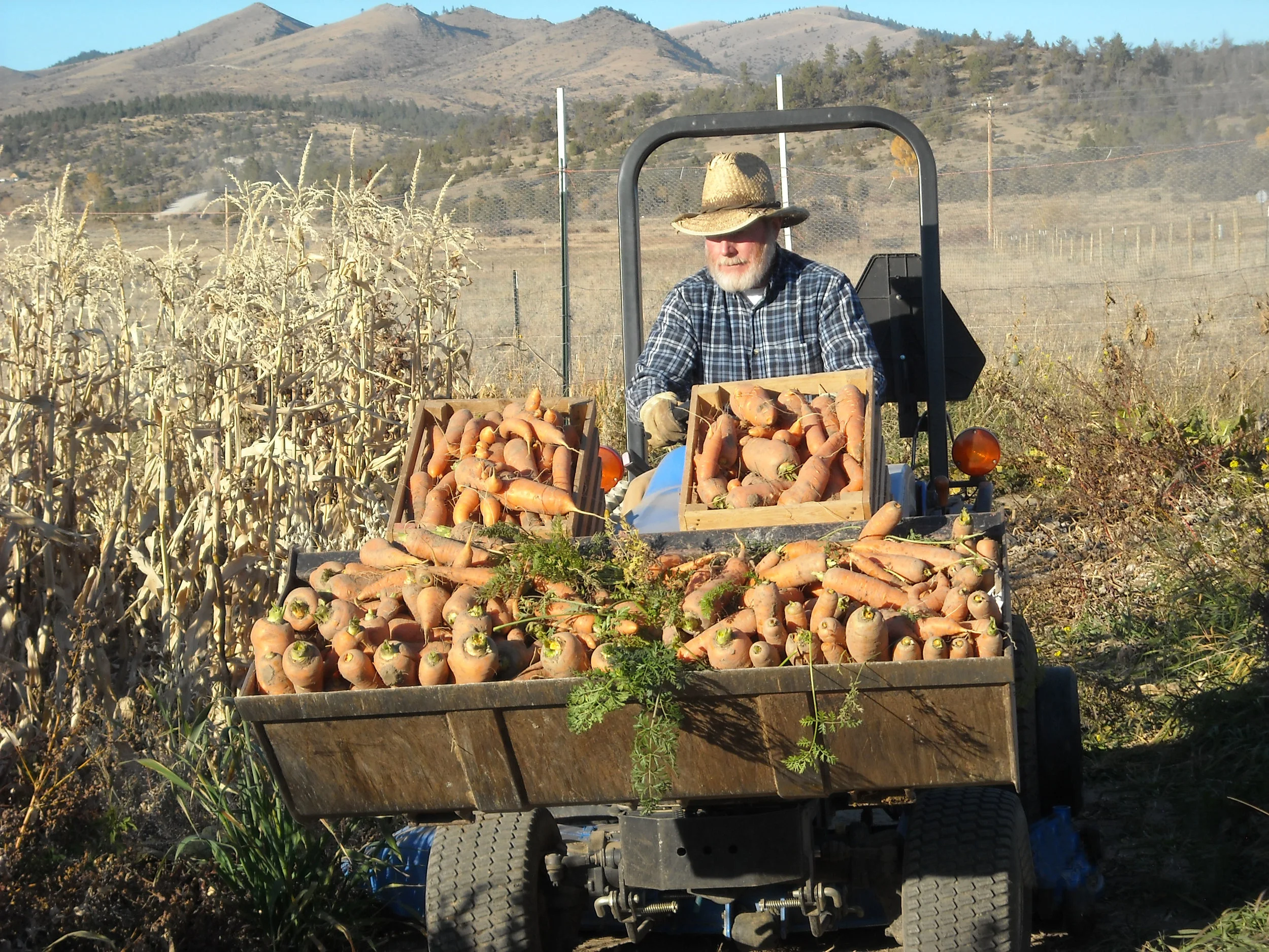 Produce — Hettinger Farm