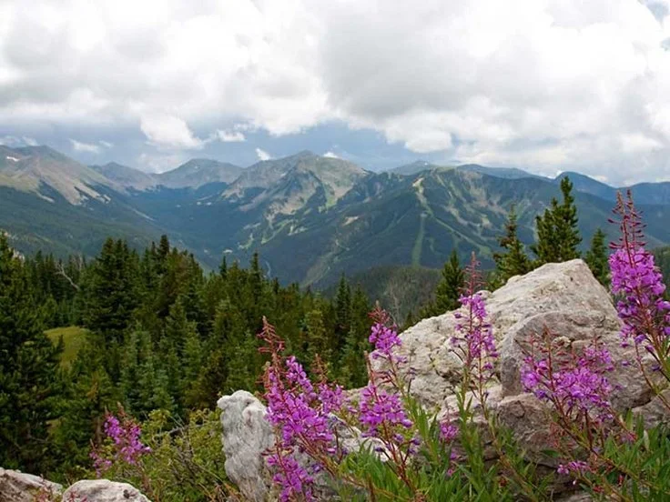 ARTIST FACULTY - Taos Opera Institute