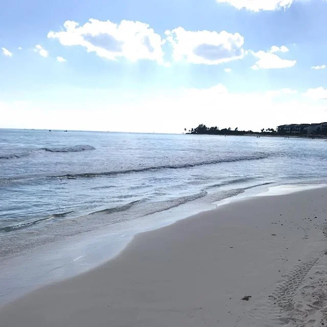 Beach Dreaming