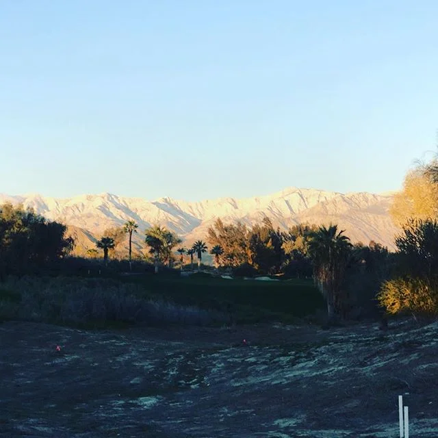 Mornings in the desert #palmsprings  #peaceful #travel