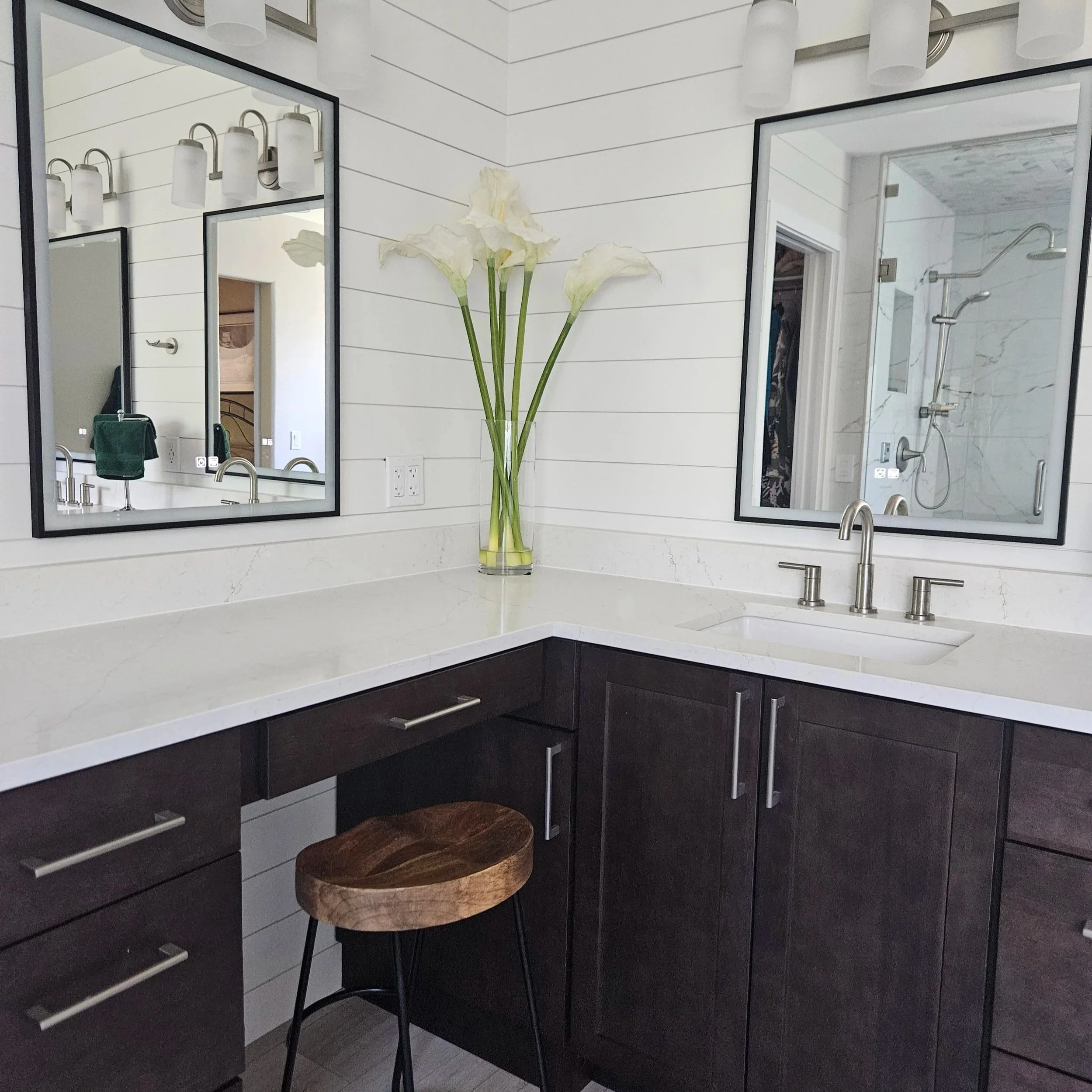 Master Bathroom Remodel