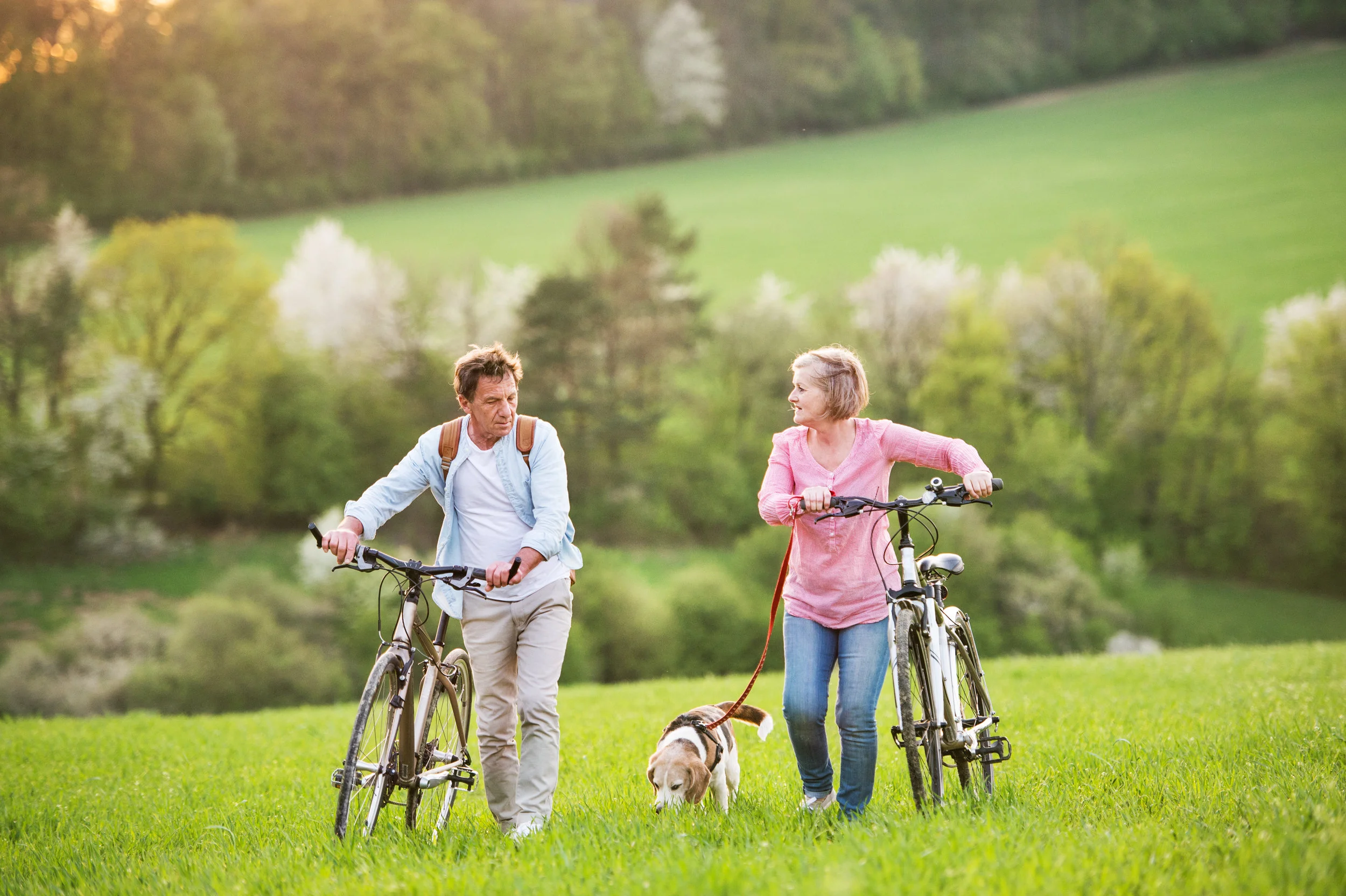 beautiful-senior-couple-with-bicycles-and-dog-P526AZH.jpg